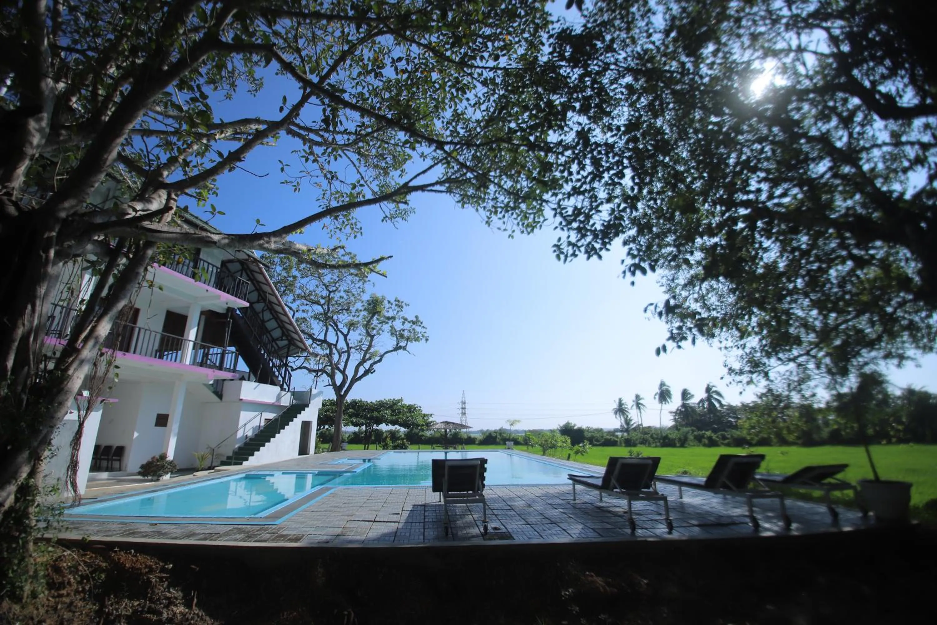 Spring in Birdsong Leisure Resort