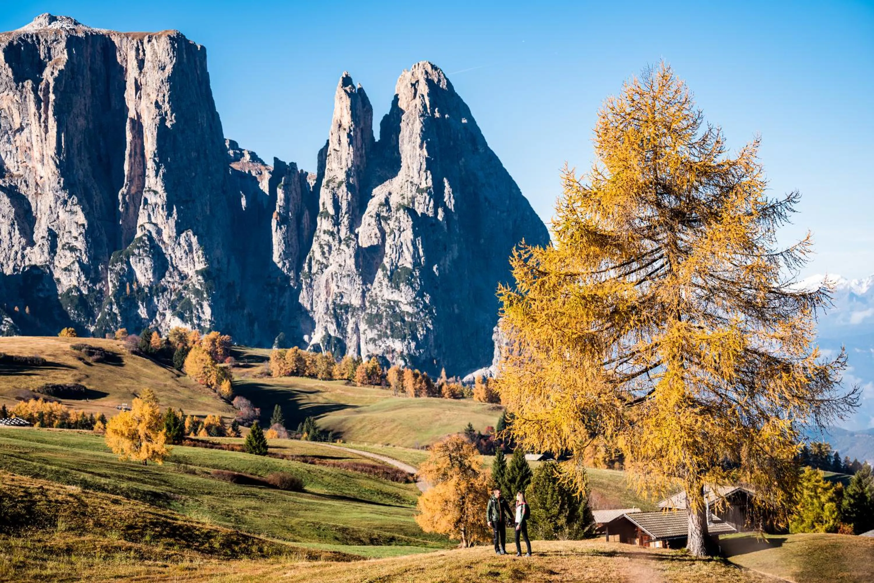 Activities in Hotel Steger-Dellai