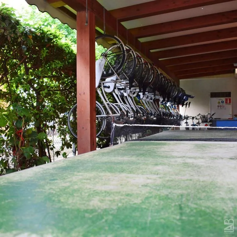 Activities in Hotel Gattuccio