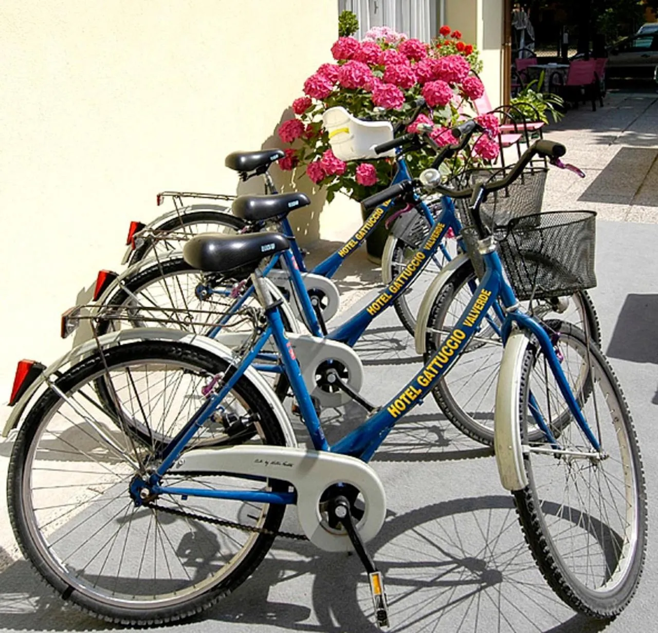 Activities in Hotel Gattuccio