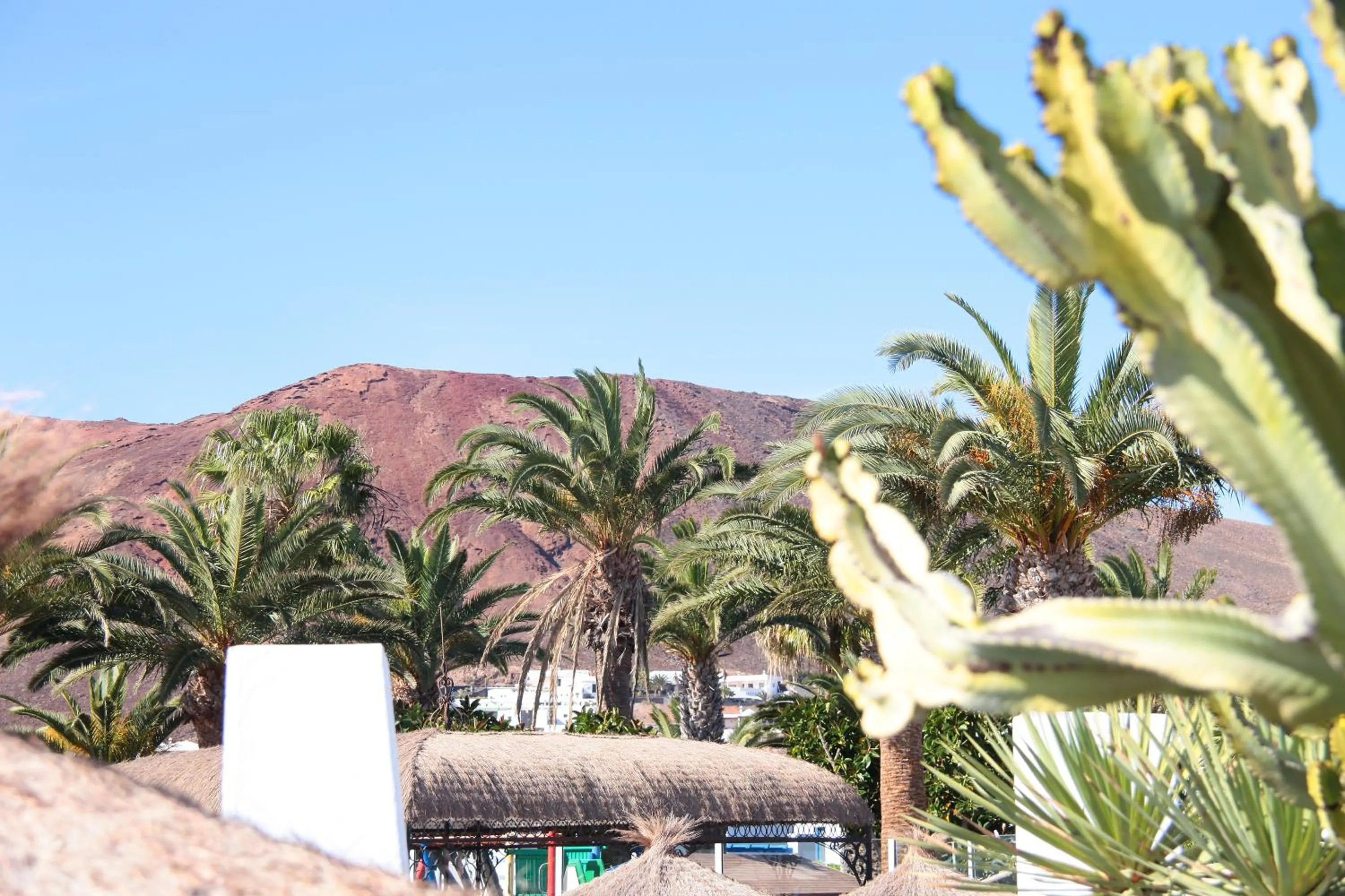 Nearby landmark in Sandos Atlantic Gardens