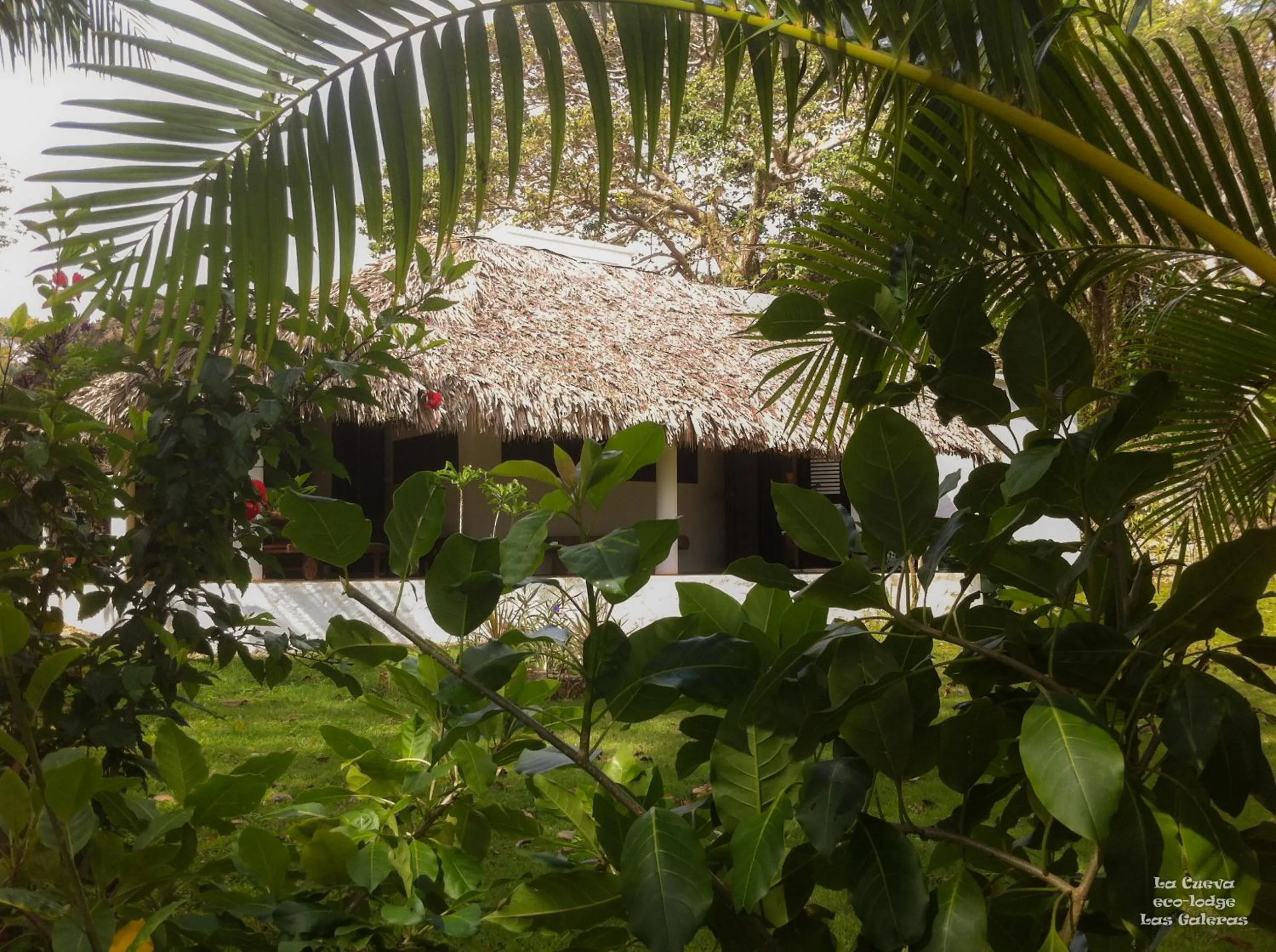 Garden in La Cueva Eco-Lodge