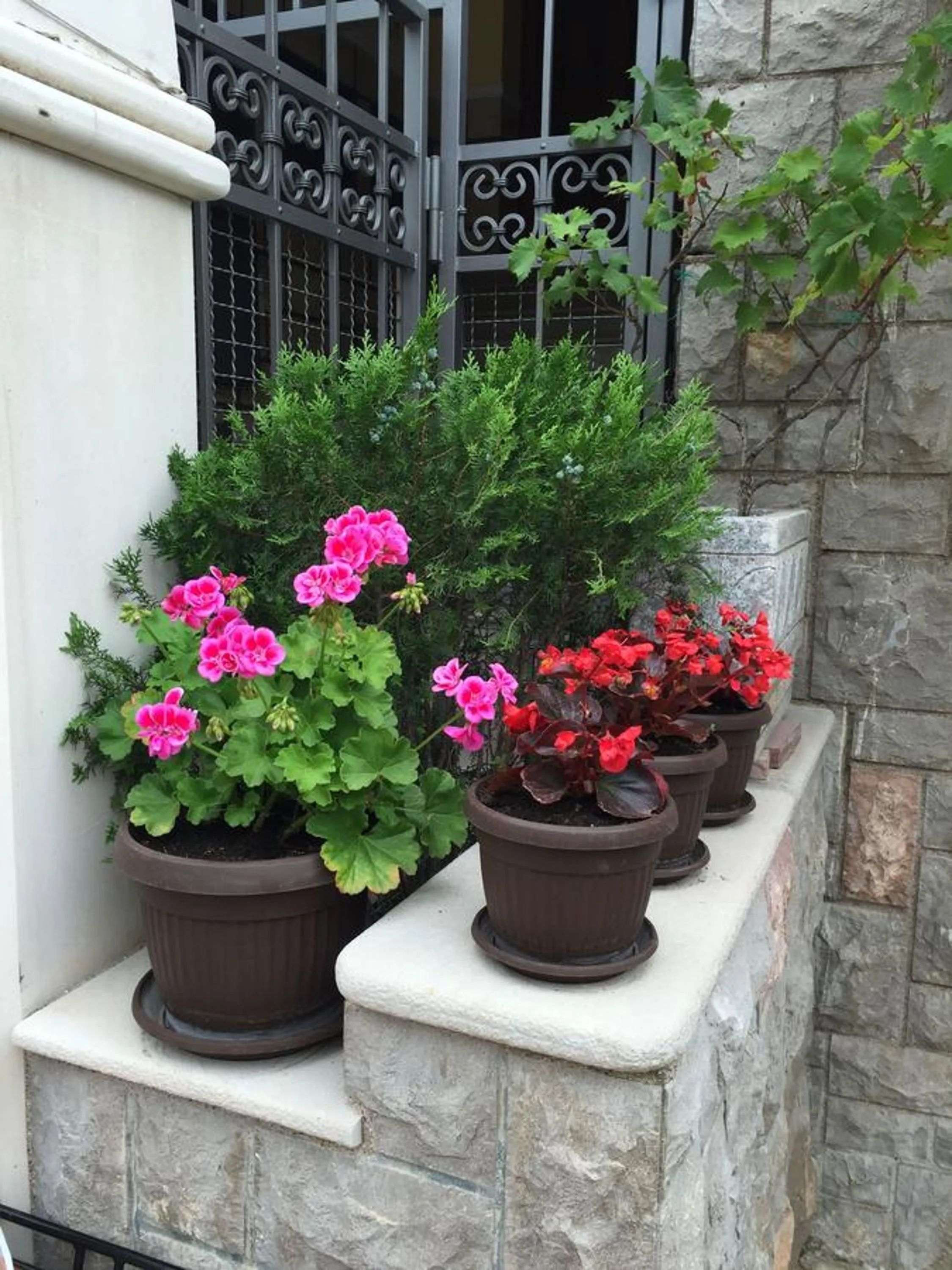 Natural landscape in Villa Edelweiss