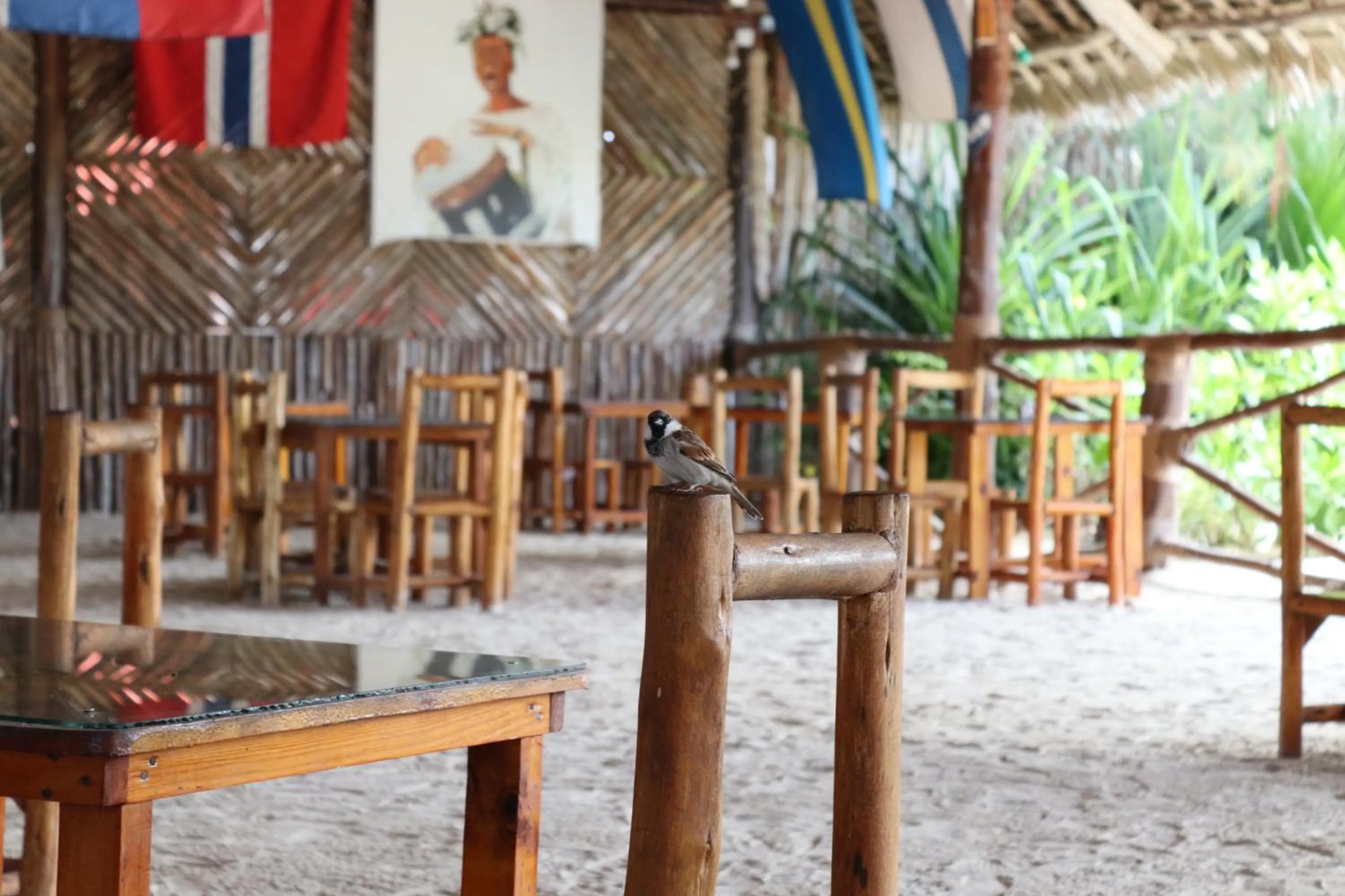 Restaurant/places to eat in Mocco Beach Villa