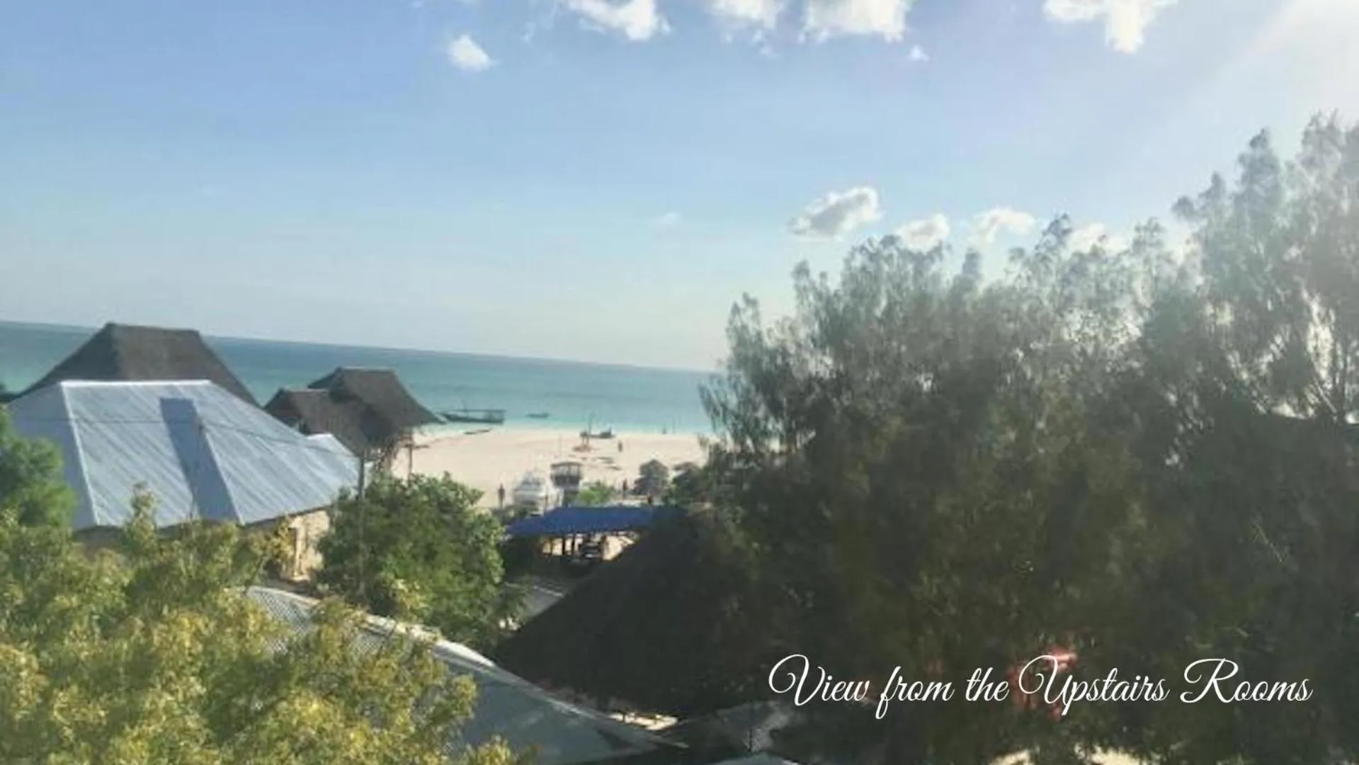 Garden view in Mocco Beach Villa