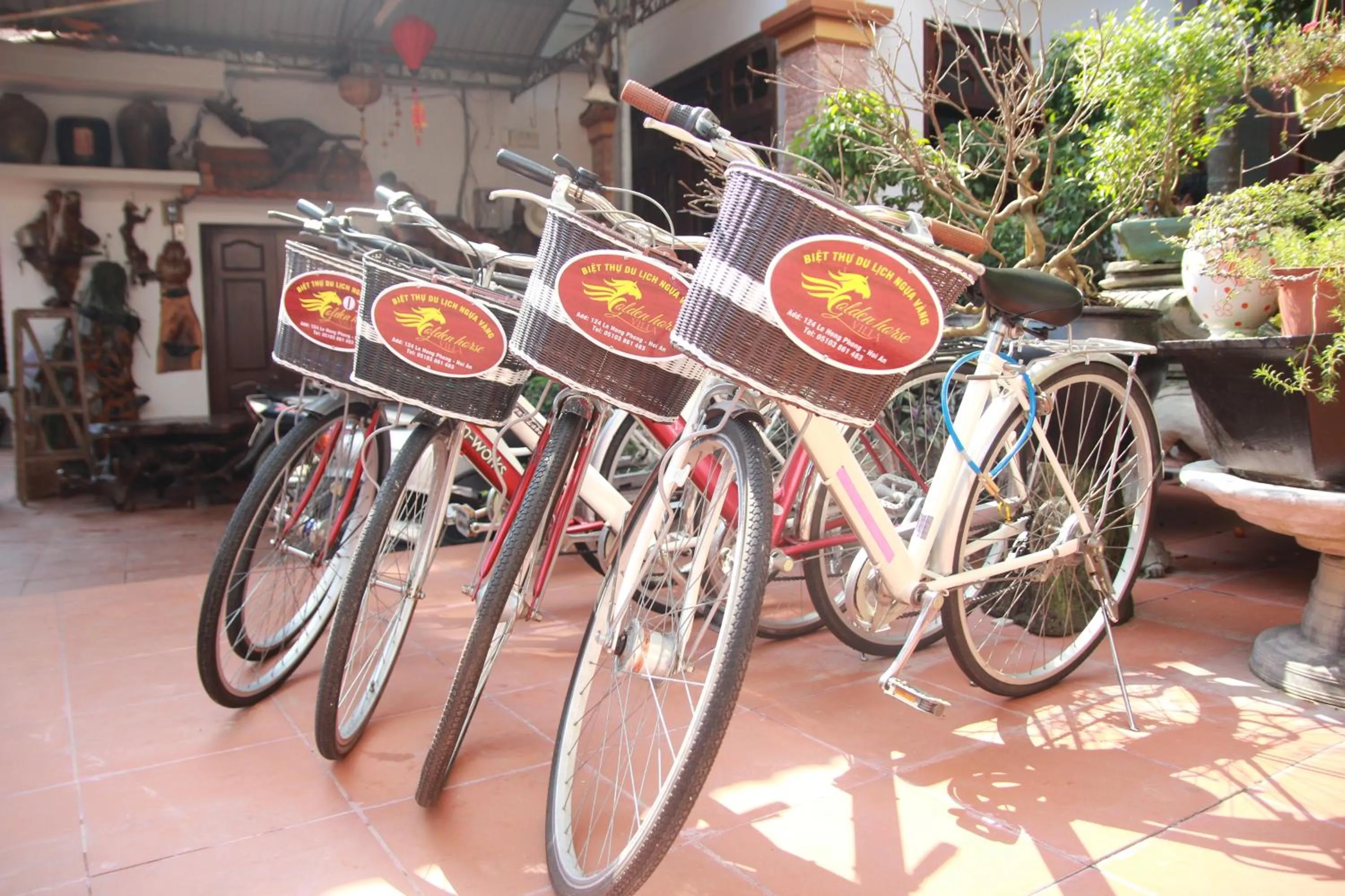 Day in Hoi An Golden Horse Villa