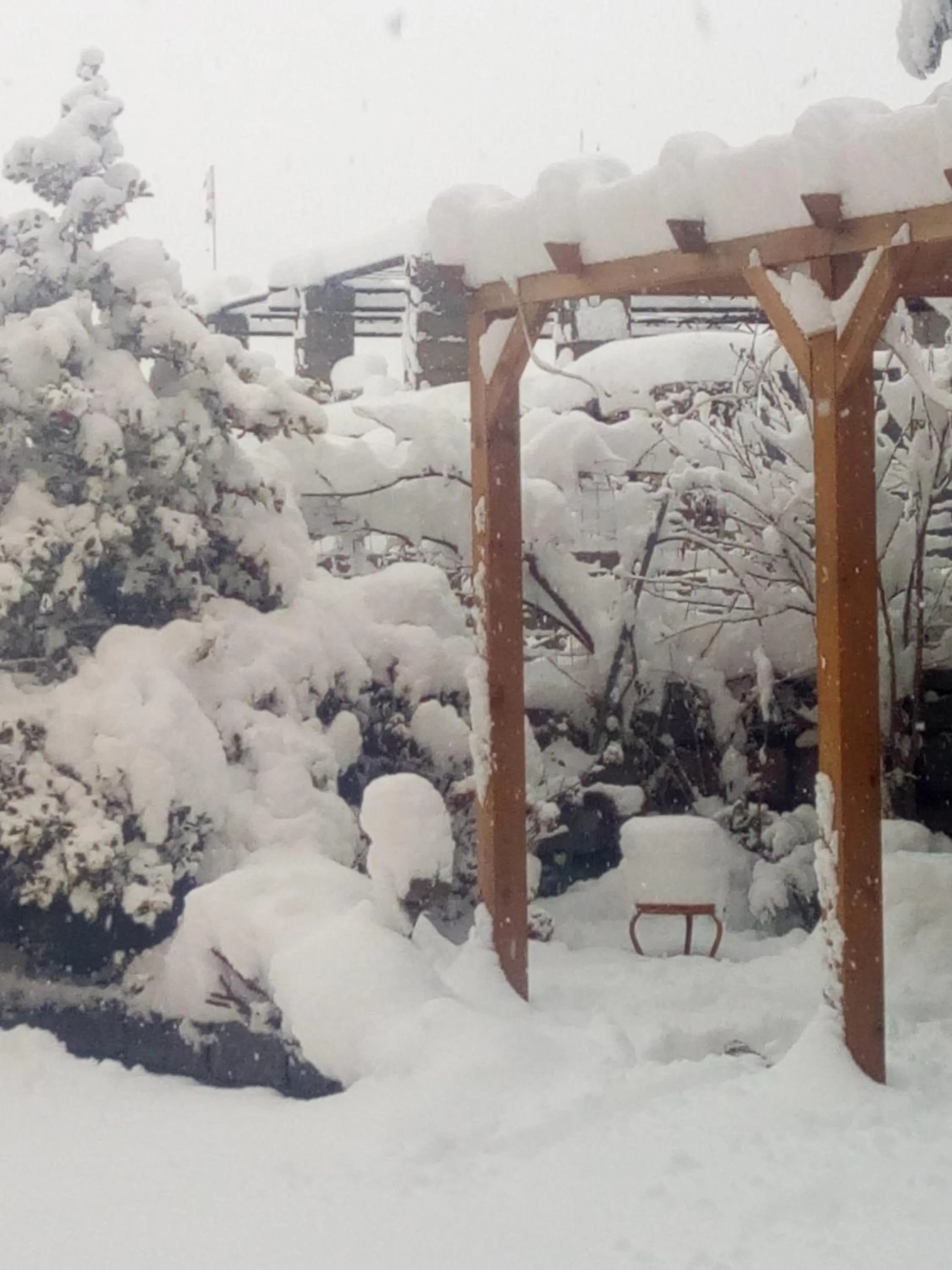 Garden view in B&B Domus Deiana