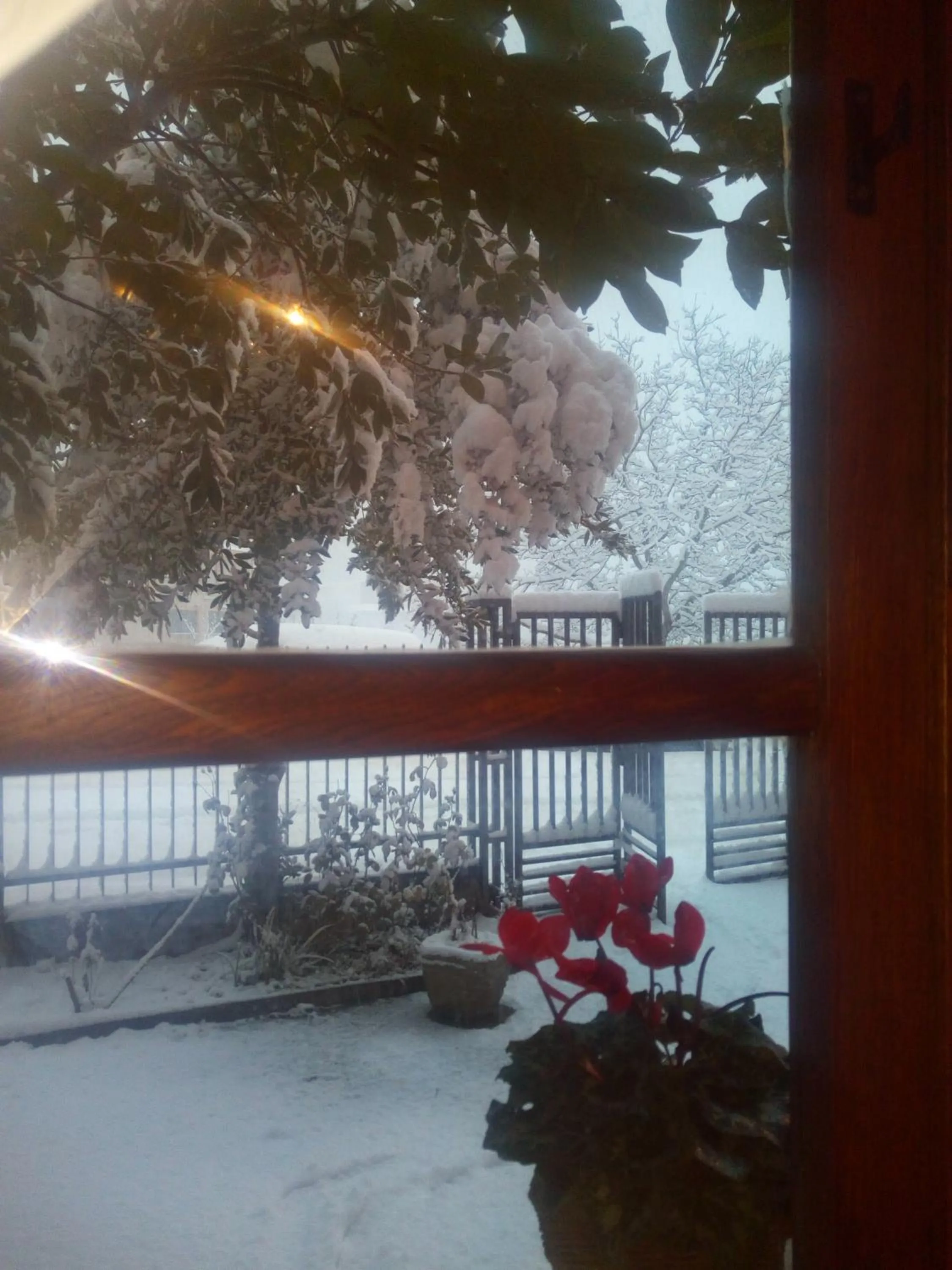 Garden view in B&B Domus Deiana