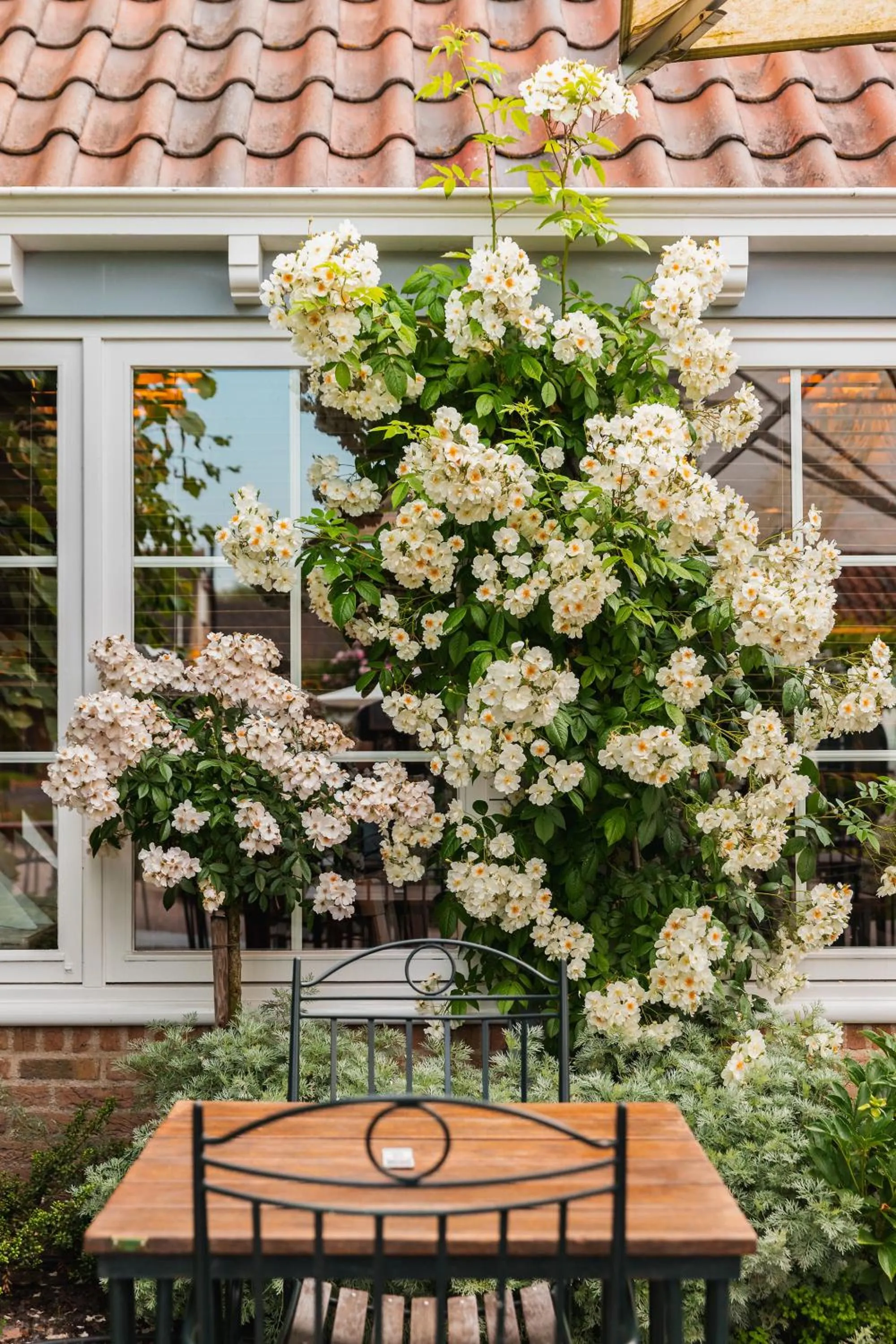 Property building in De Lindenhoeve Boutique Hotel