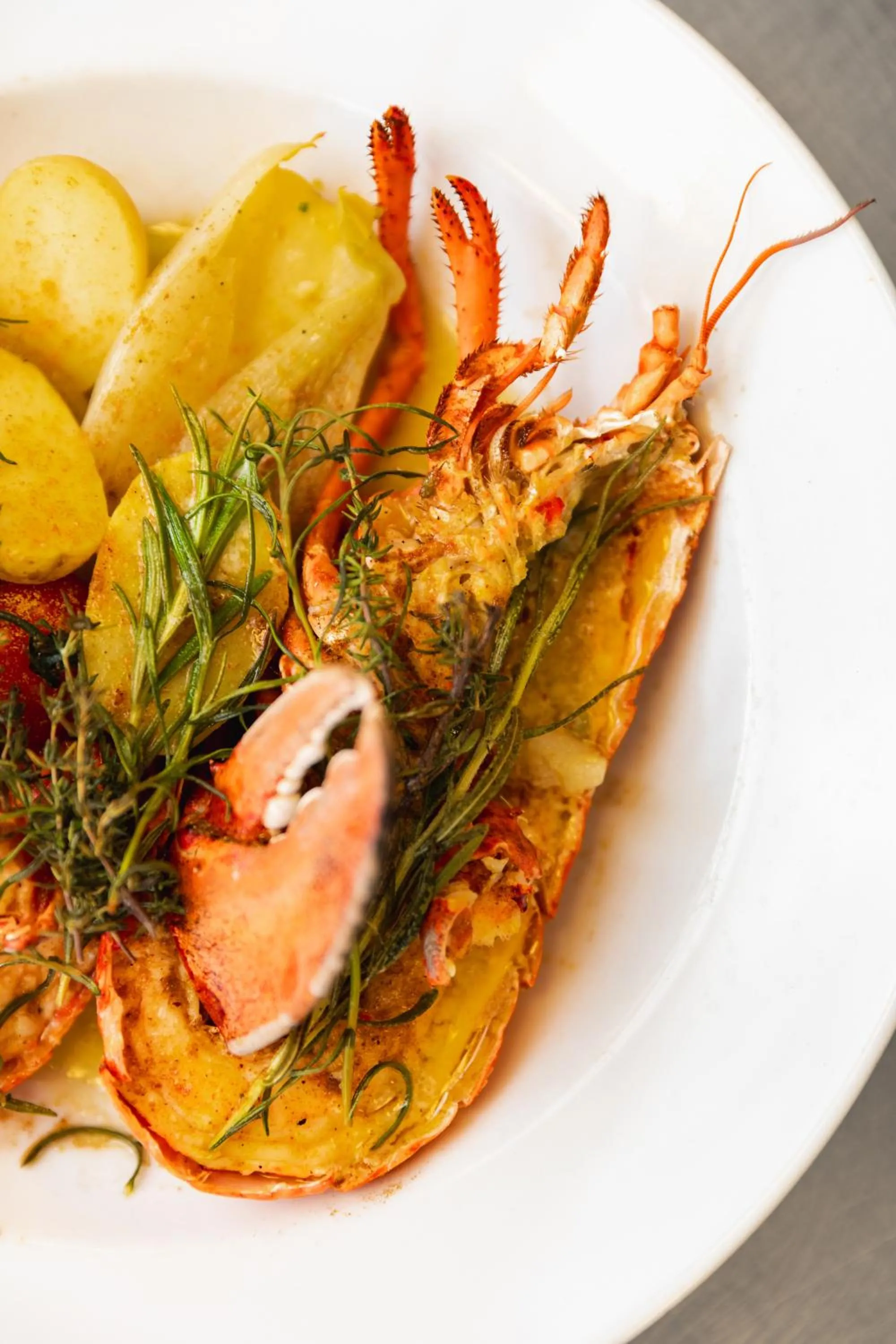 Restaurant/places to eat in De Lindenhoeve Boutique Hotel