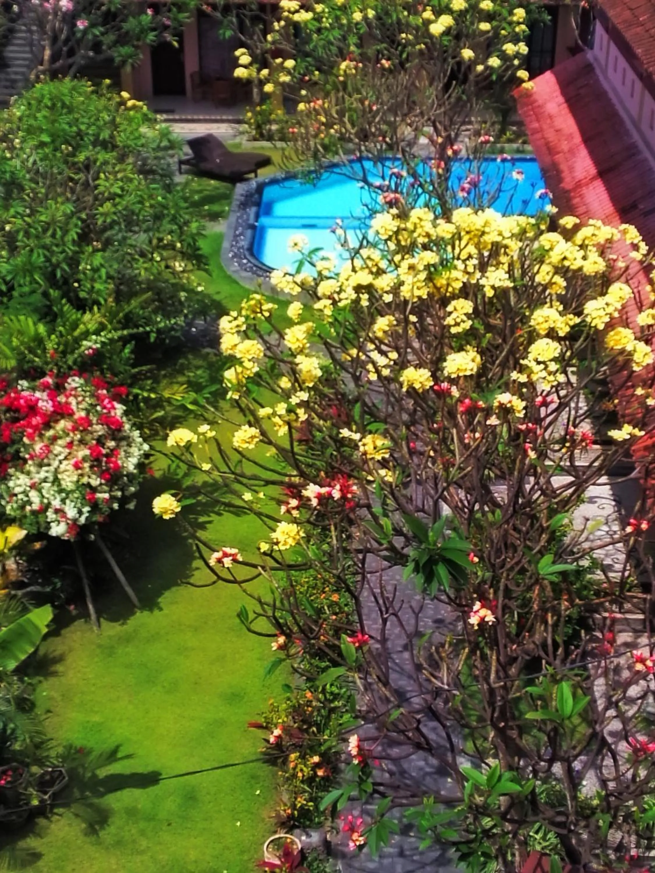 Pool view in Pesona Beach Inn
