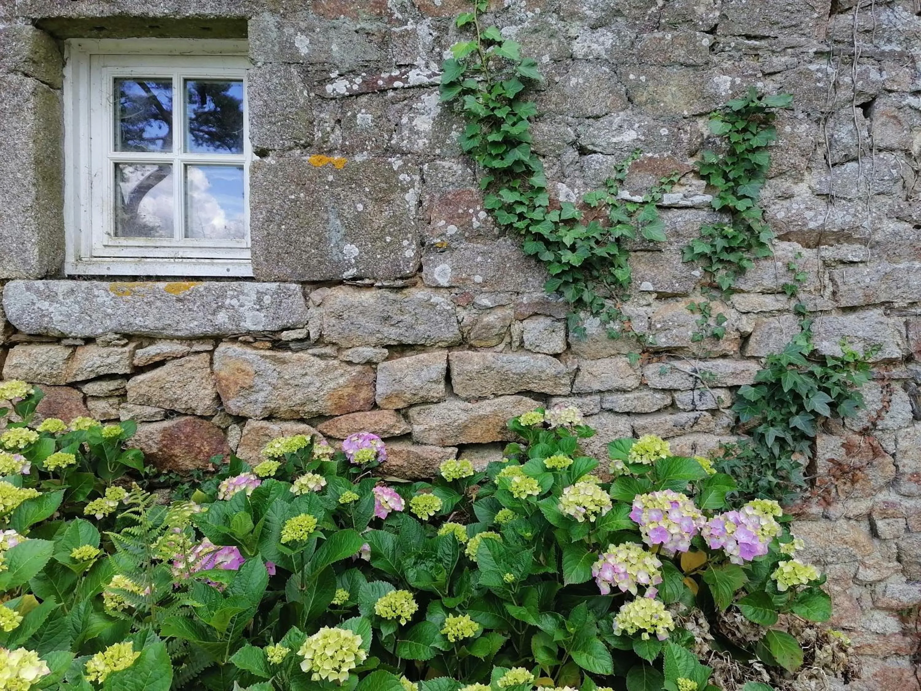 Garden in Frairie Du Divit