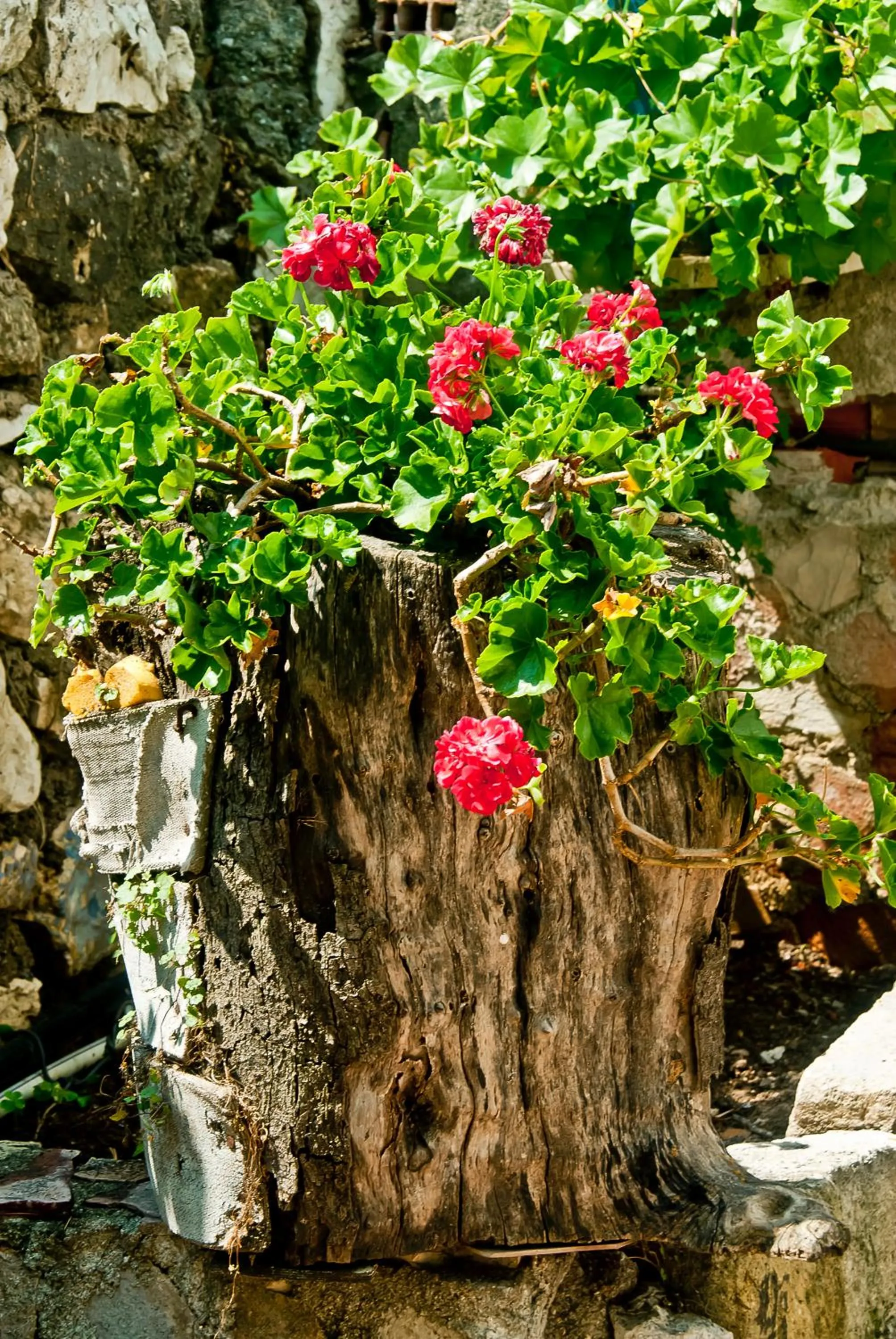Decorative detail in Saklı Konak
