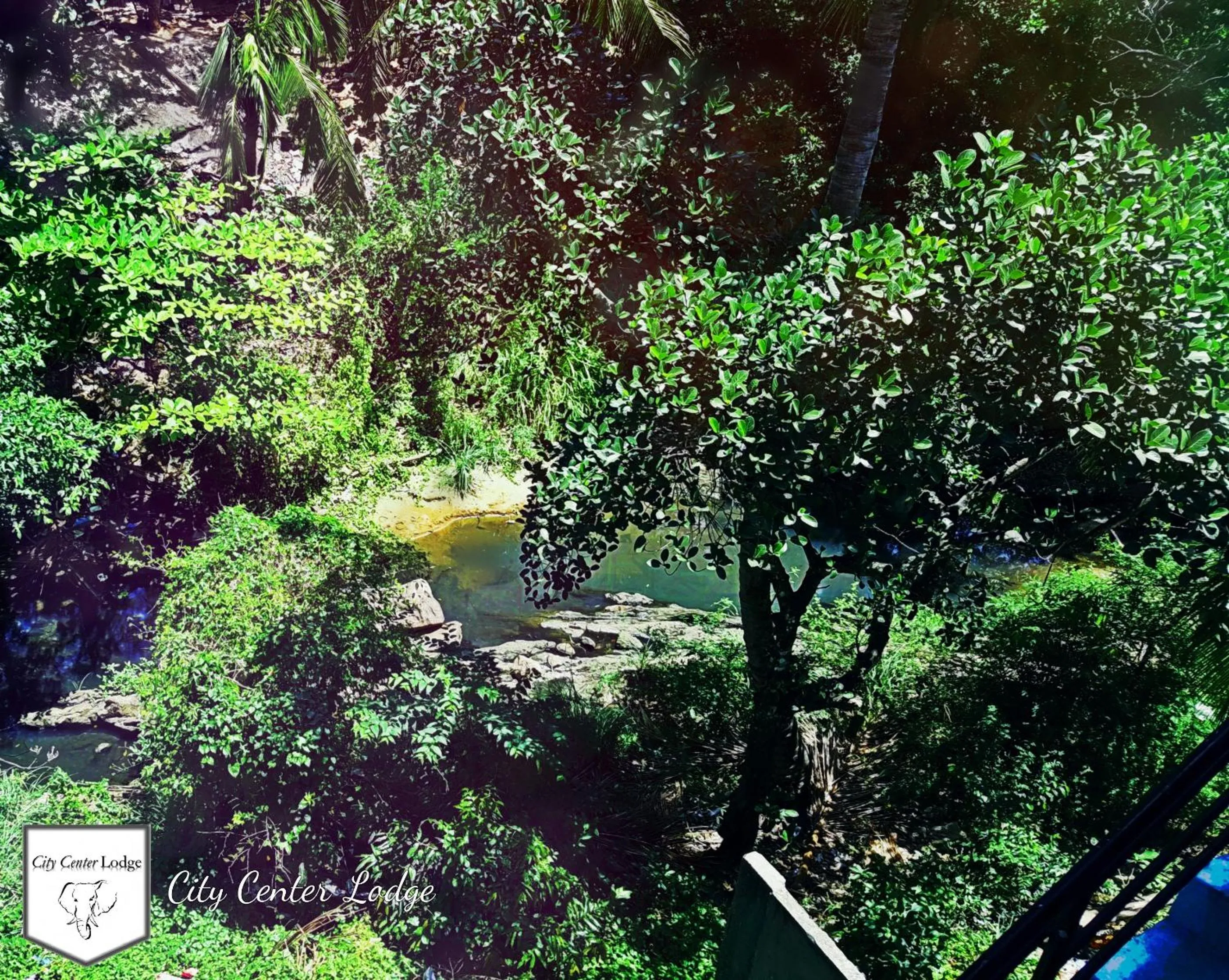 Lake view in City Centre Lodge