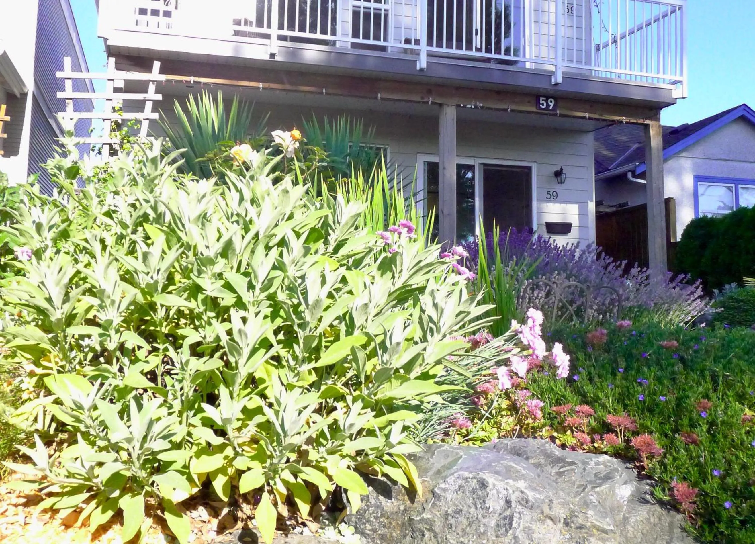 Garden in AnnArthur Guest House