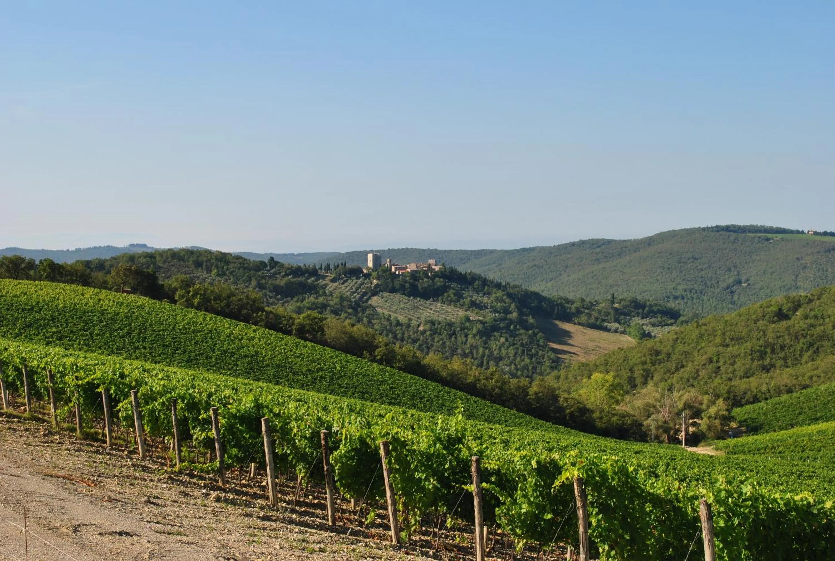 Natural landscape in Castello di Spaltenna Exclusive Resort & Spa