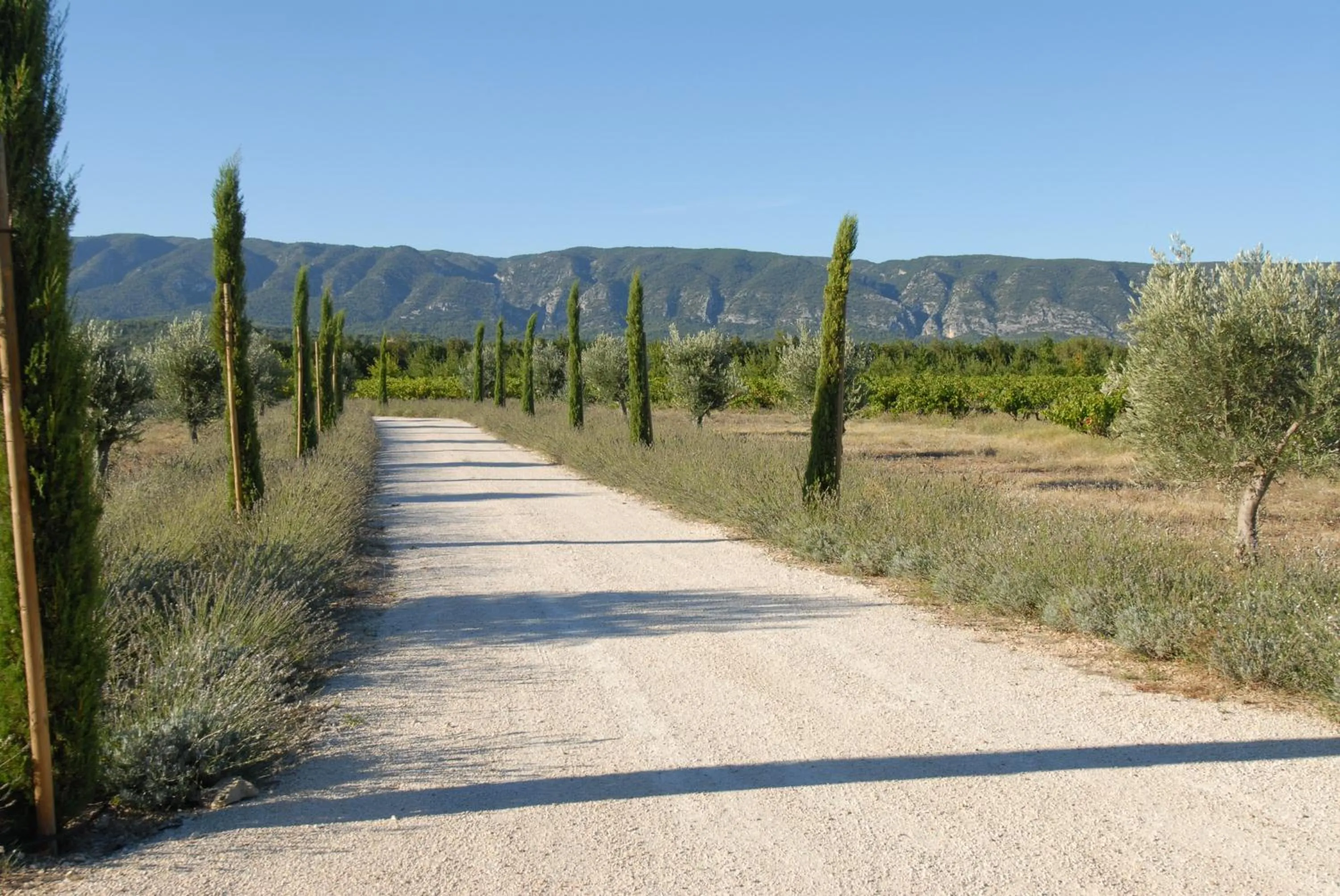 Garden in Clos De La Fontaine