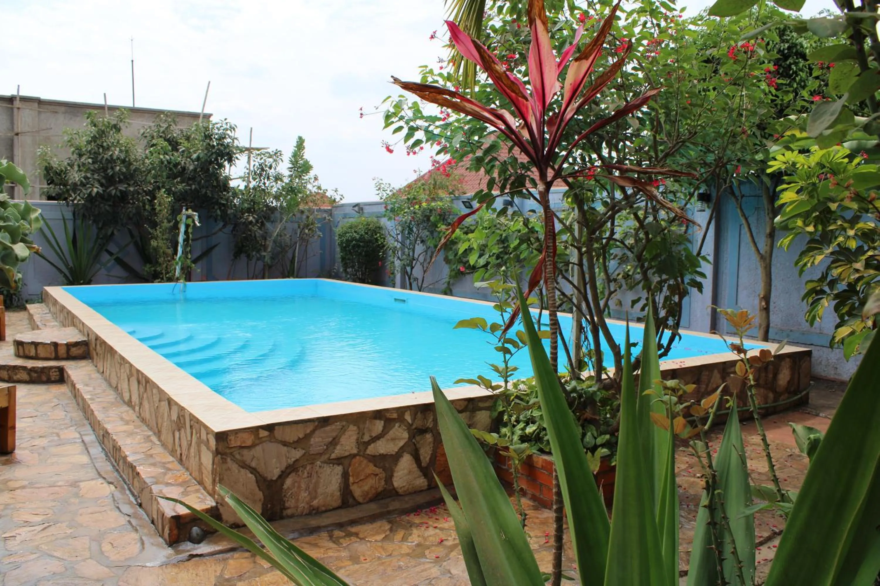 Swimming pool in Umusambi B&B