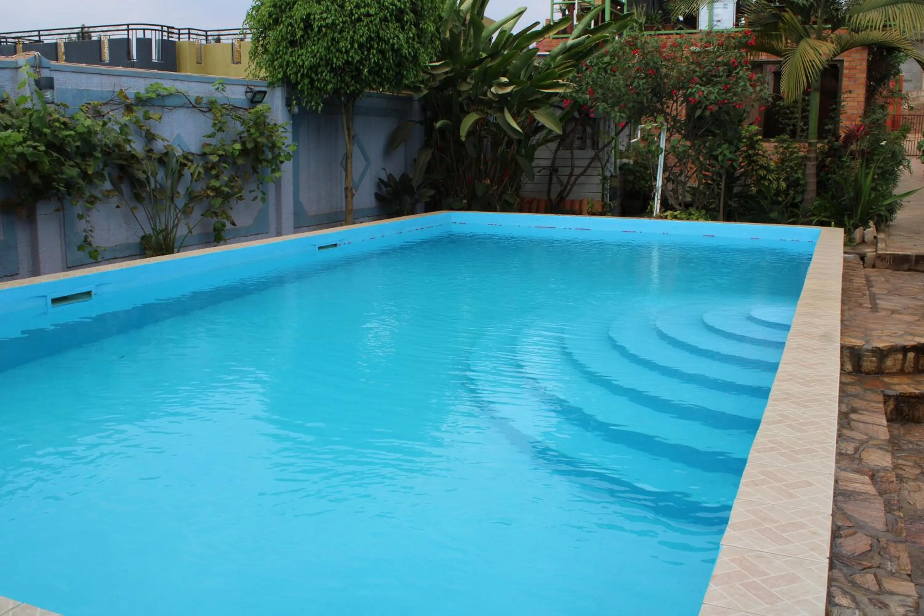 Pool view in Umusambi B&B