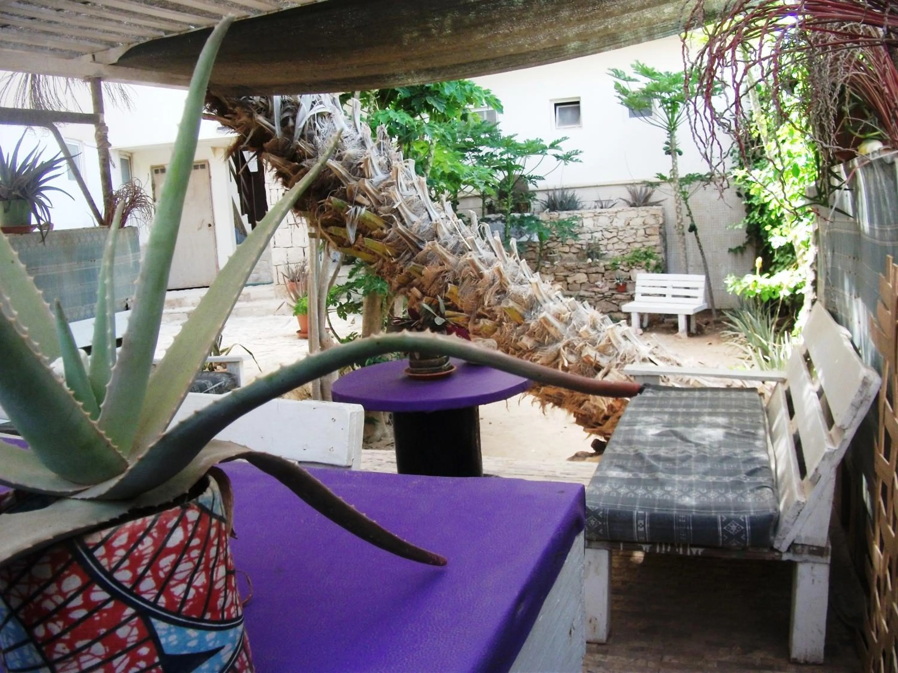 Restaurant/places to eat in Apart-Hotel Ca Elsa