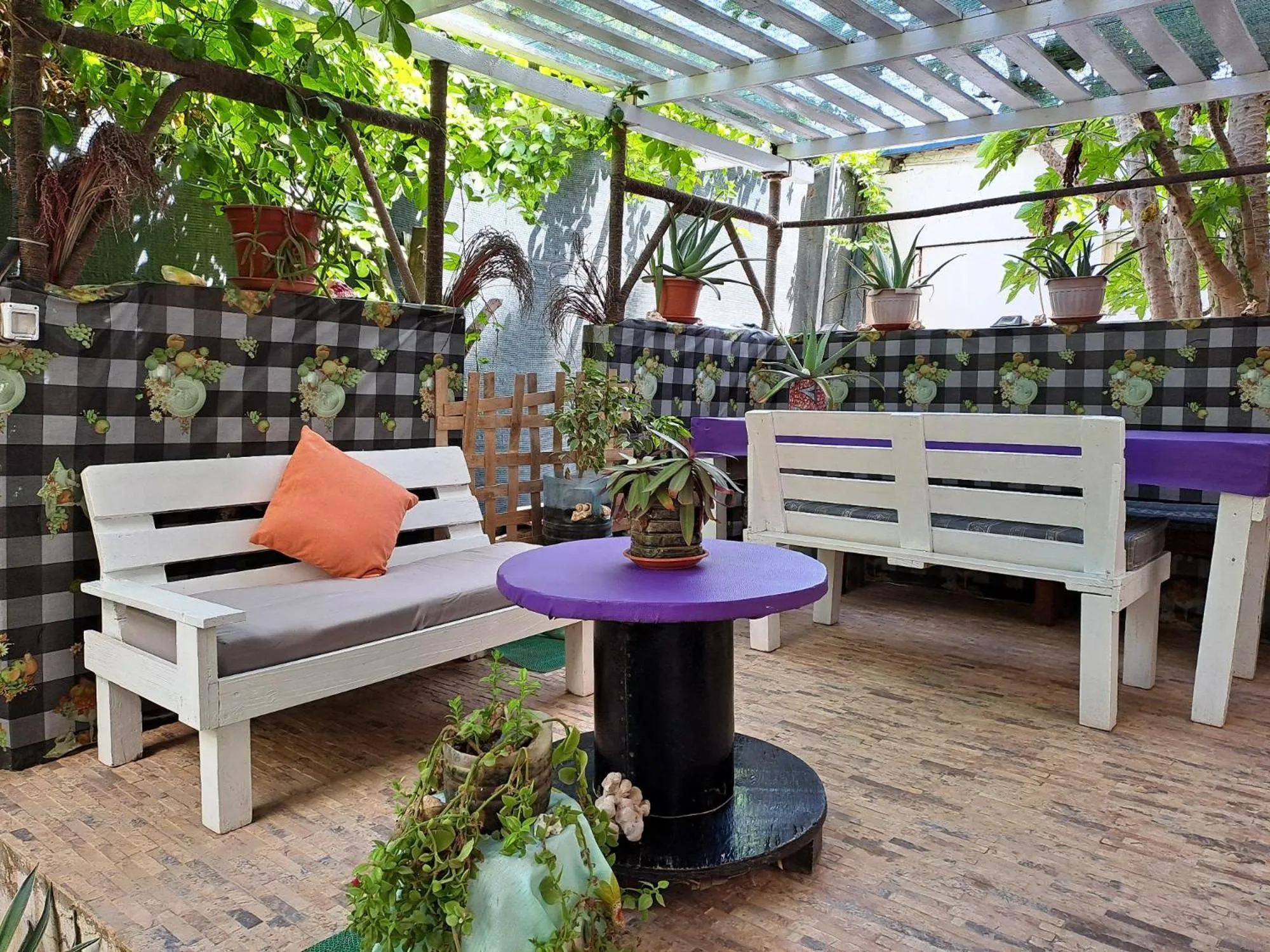 Garden in Apart-Hotel Ca Elsa