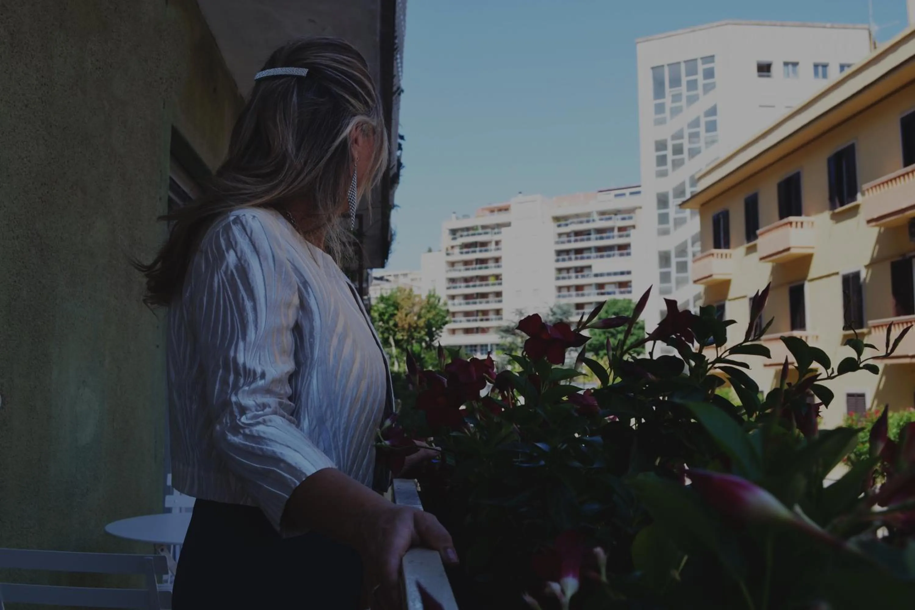 Property building in Domus Roma