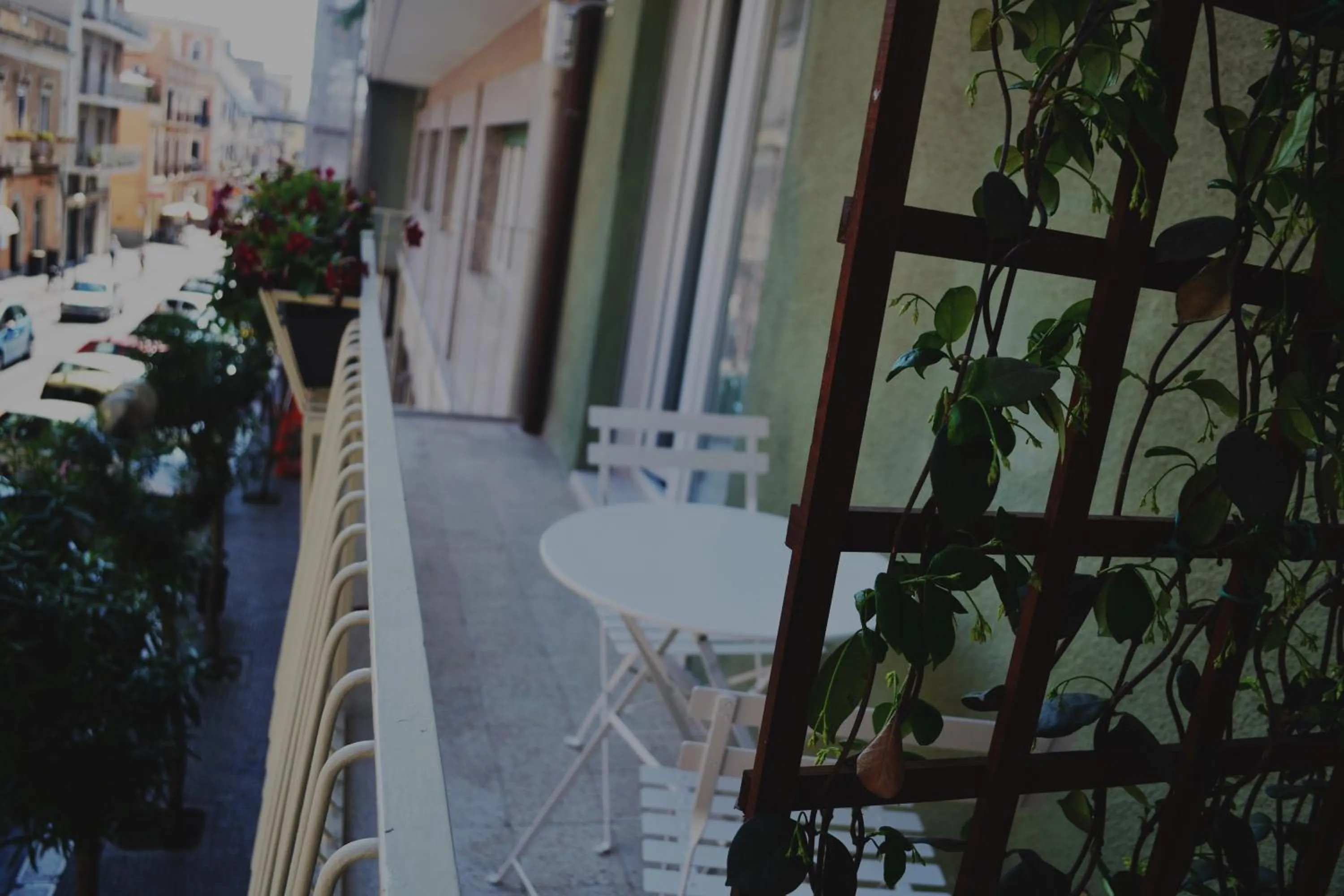 Property building in Domus Roma