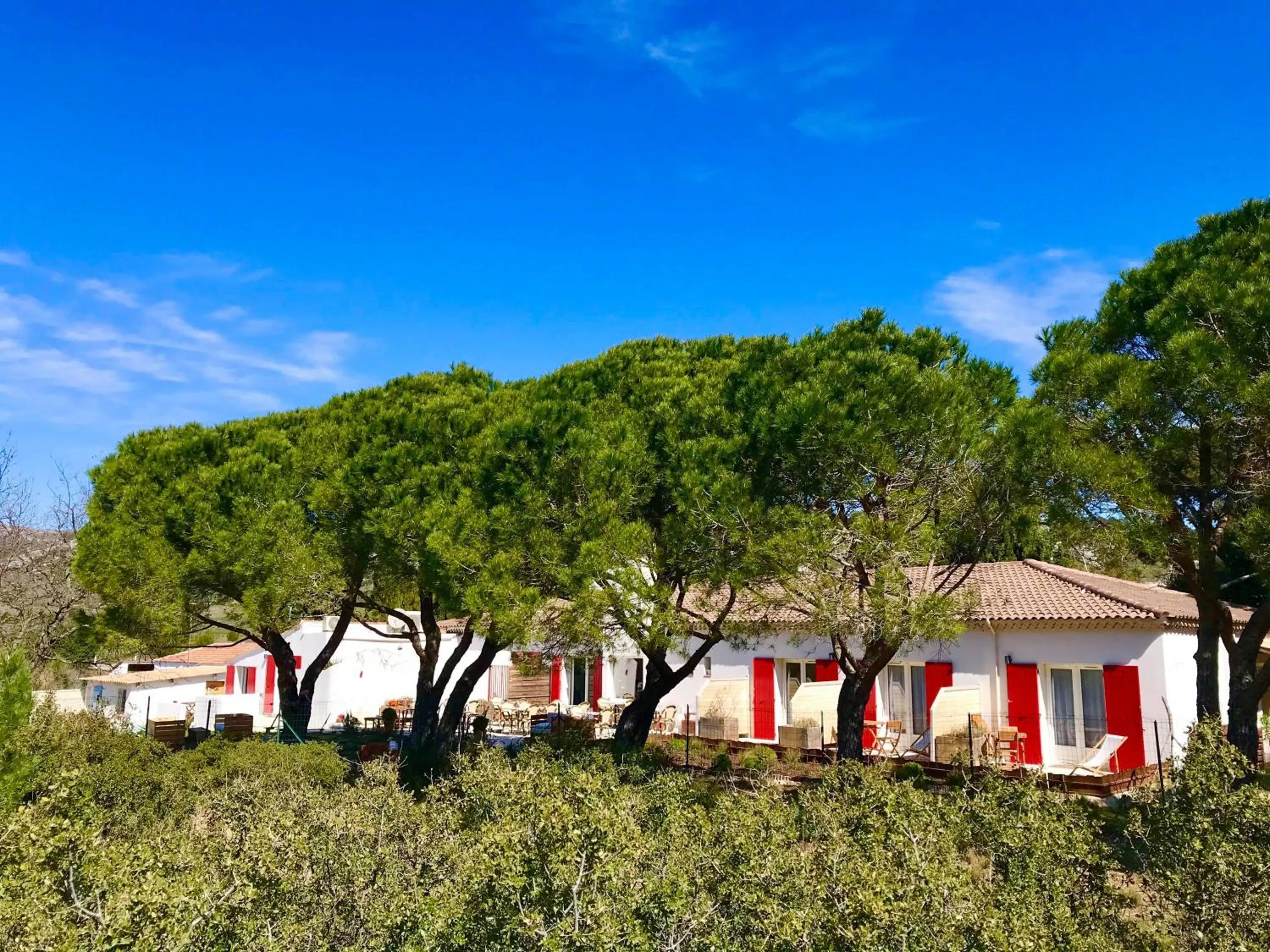 Garden in Les Volets Rouges - Hôtel Cassis - Situé dans le Parc National des Calanques - Parking Gratuit