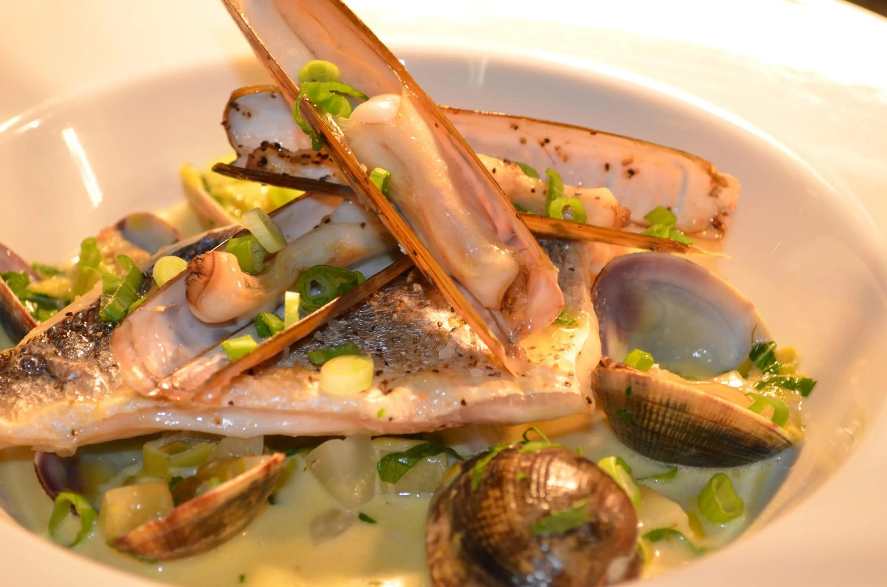 Restaurant/places to eat in The Dolphin Inn