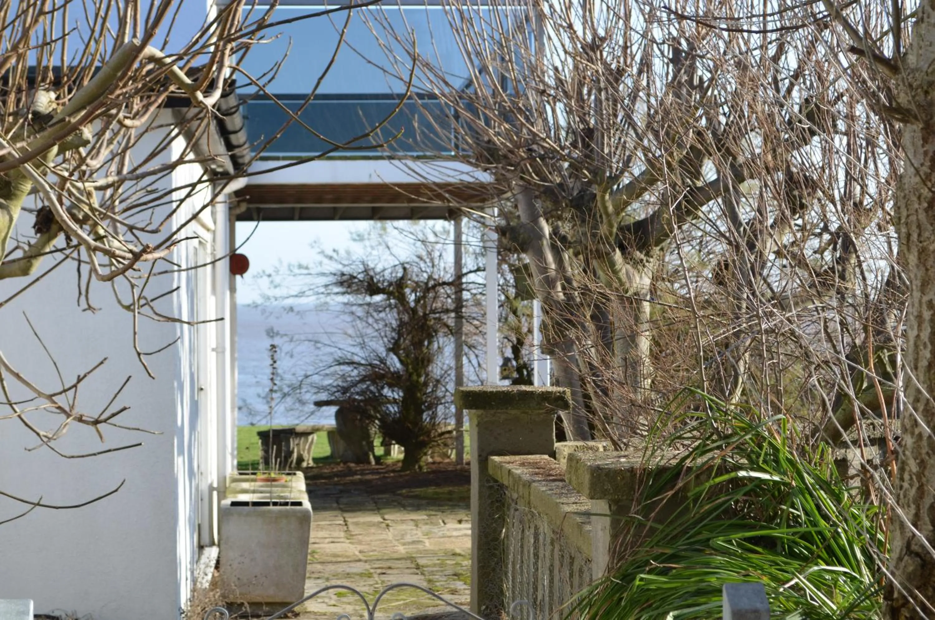 Day in The Dolphin Inn