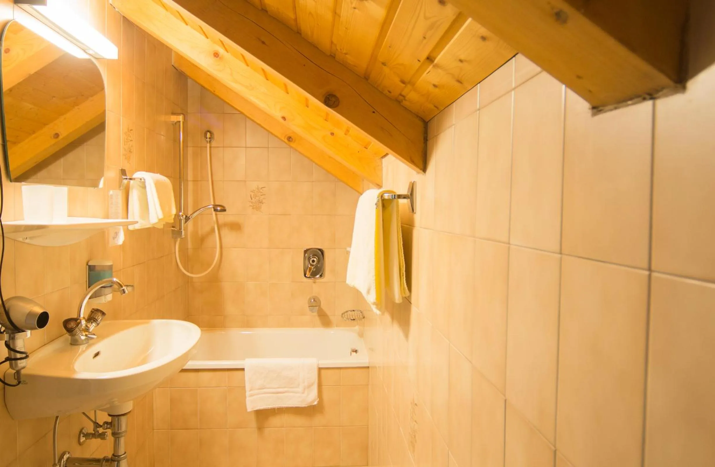 Shower in Berghotel Kason