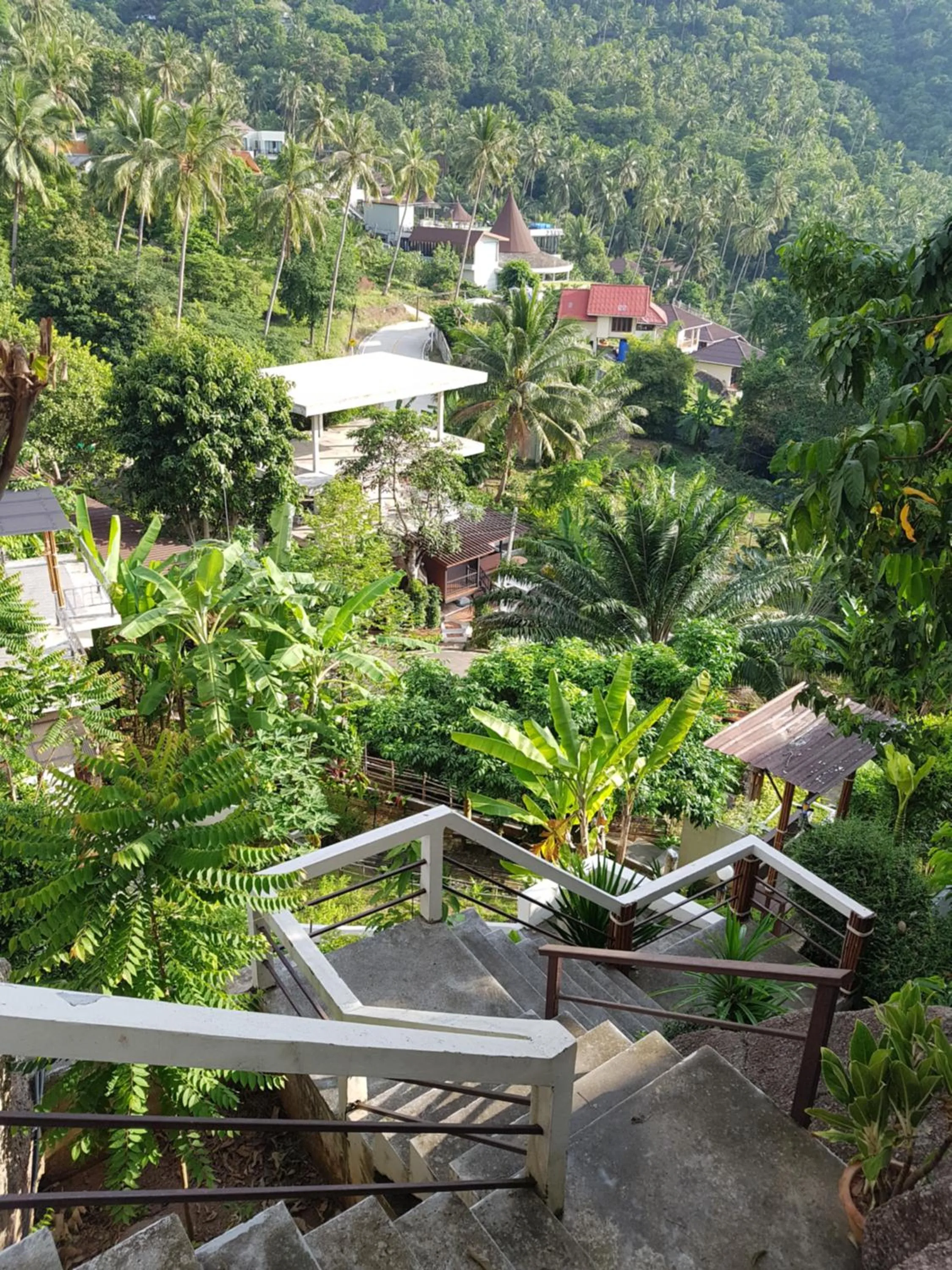 Natural landscape in Balcony Villa