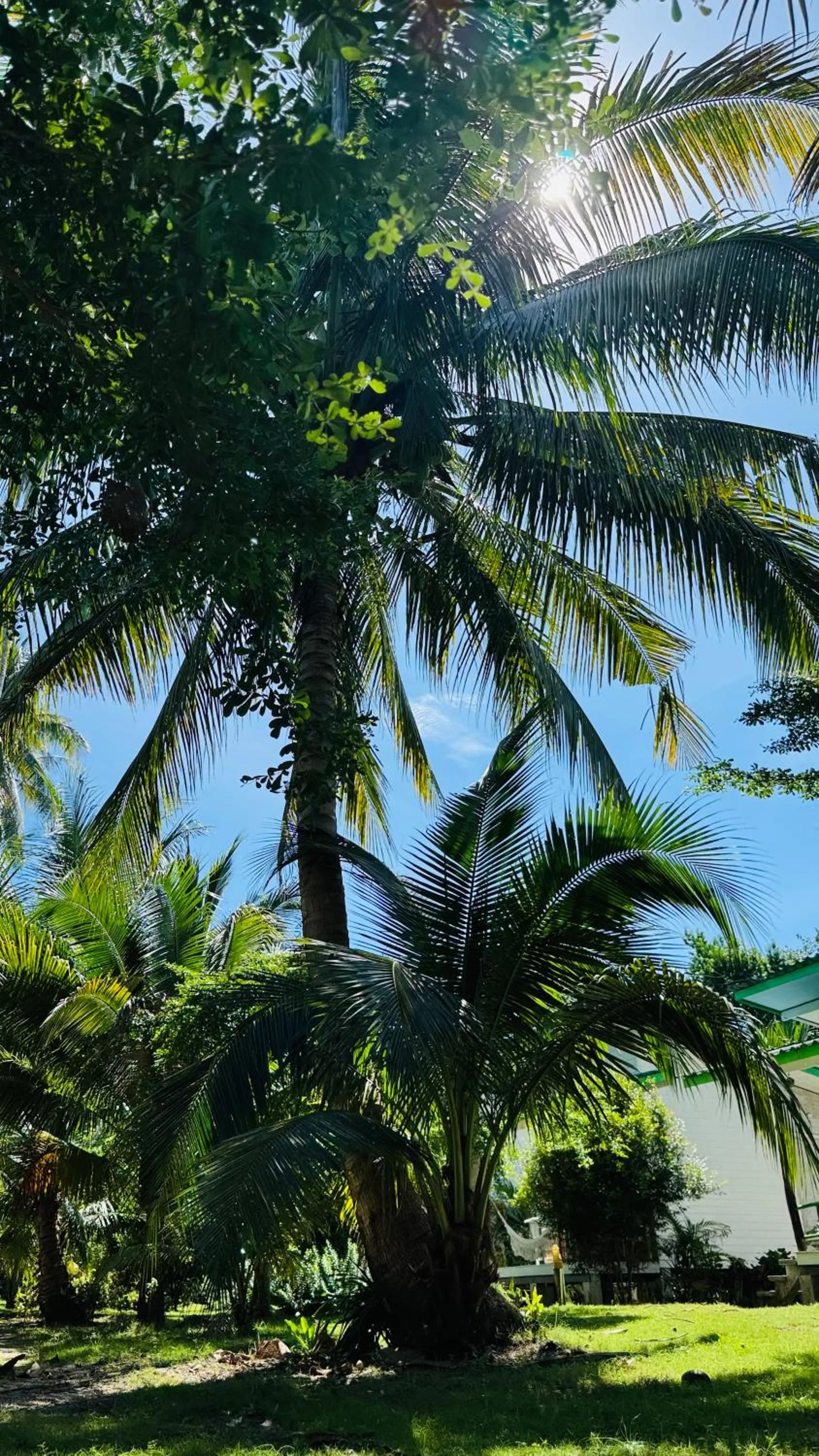 Suan Maprao Ko Kut Resort