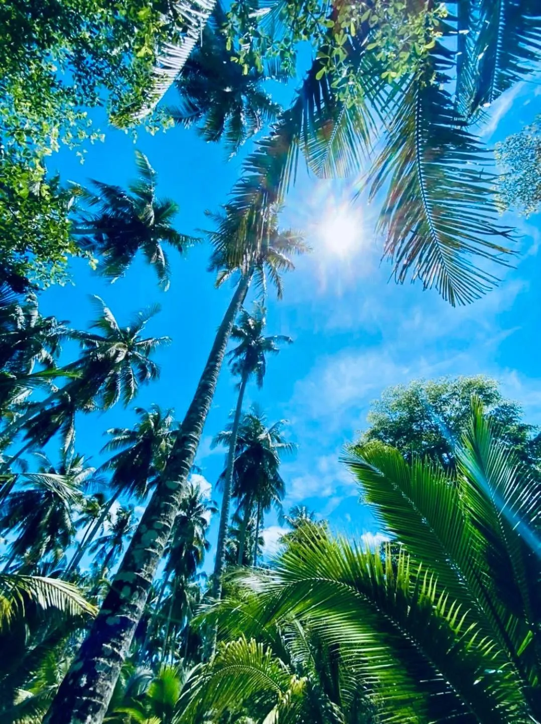 Suan Maprao Ko Kut Resort