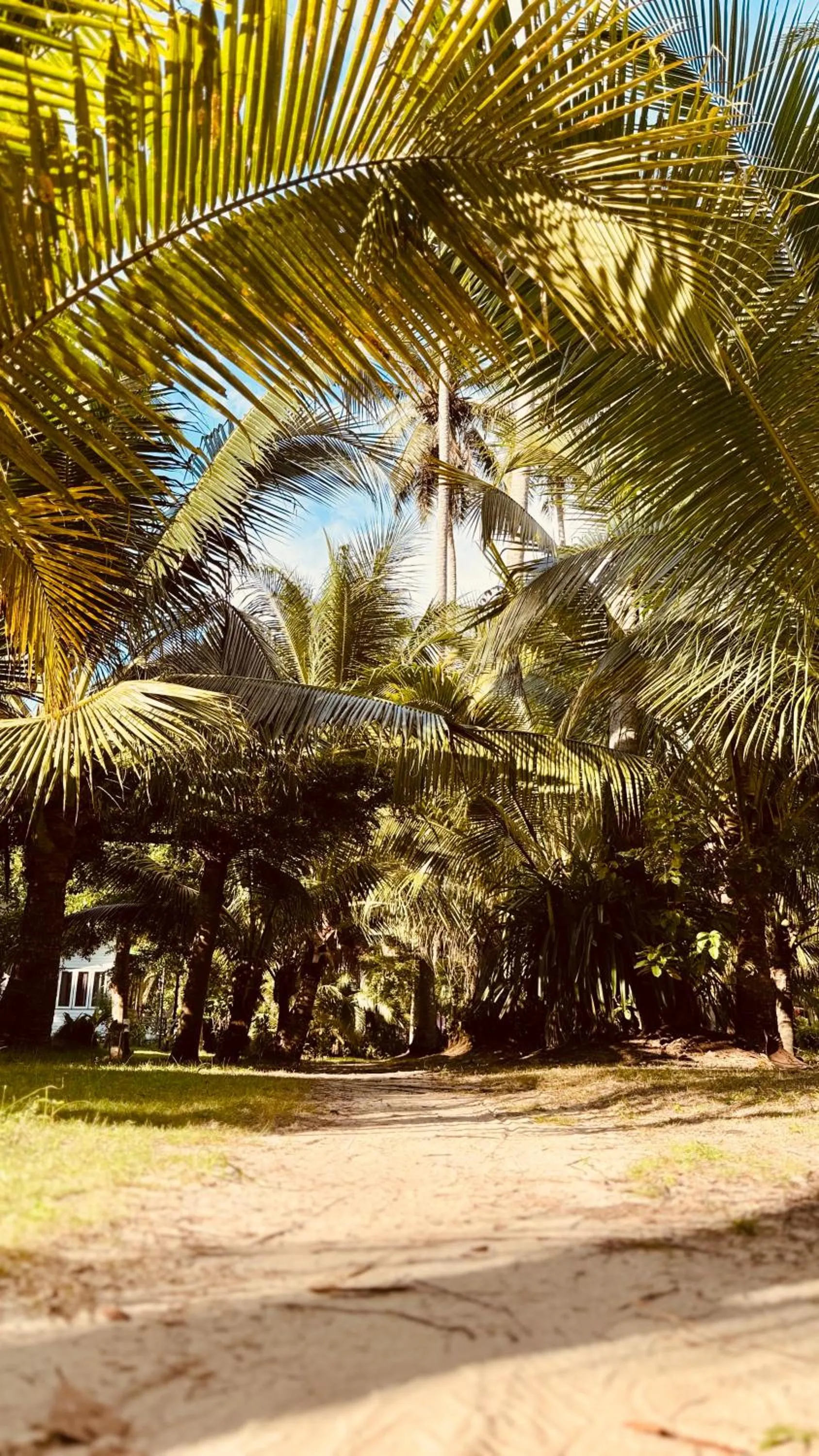 Suan Maprao Ko Kut Resort