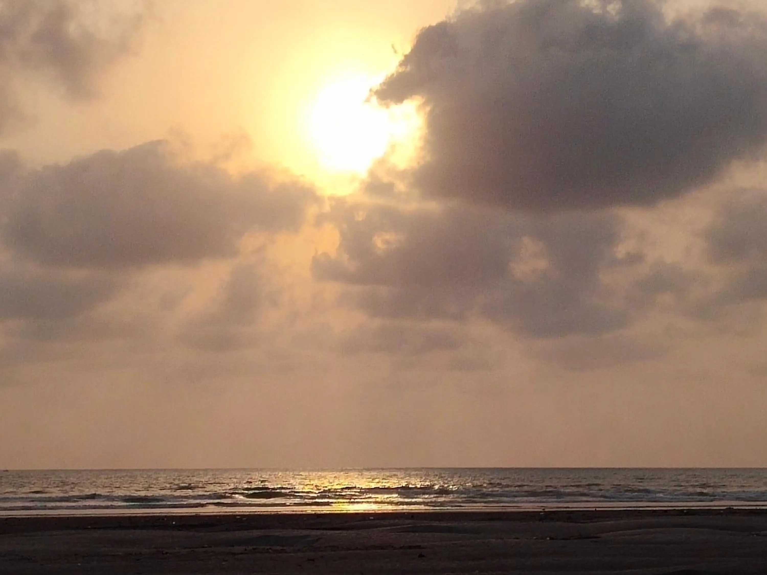 Natural landscape in Whistling Waves Beach Resort