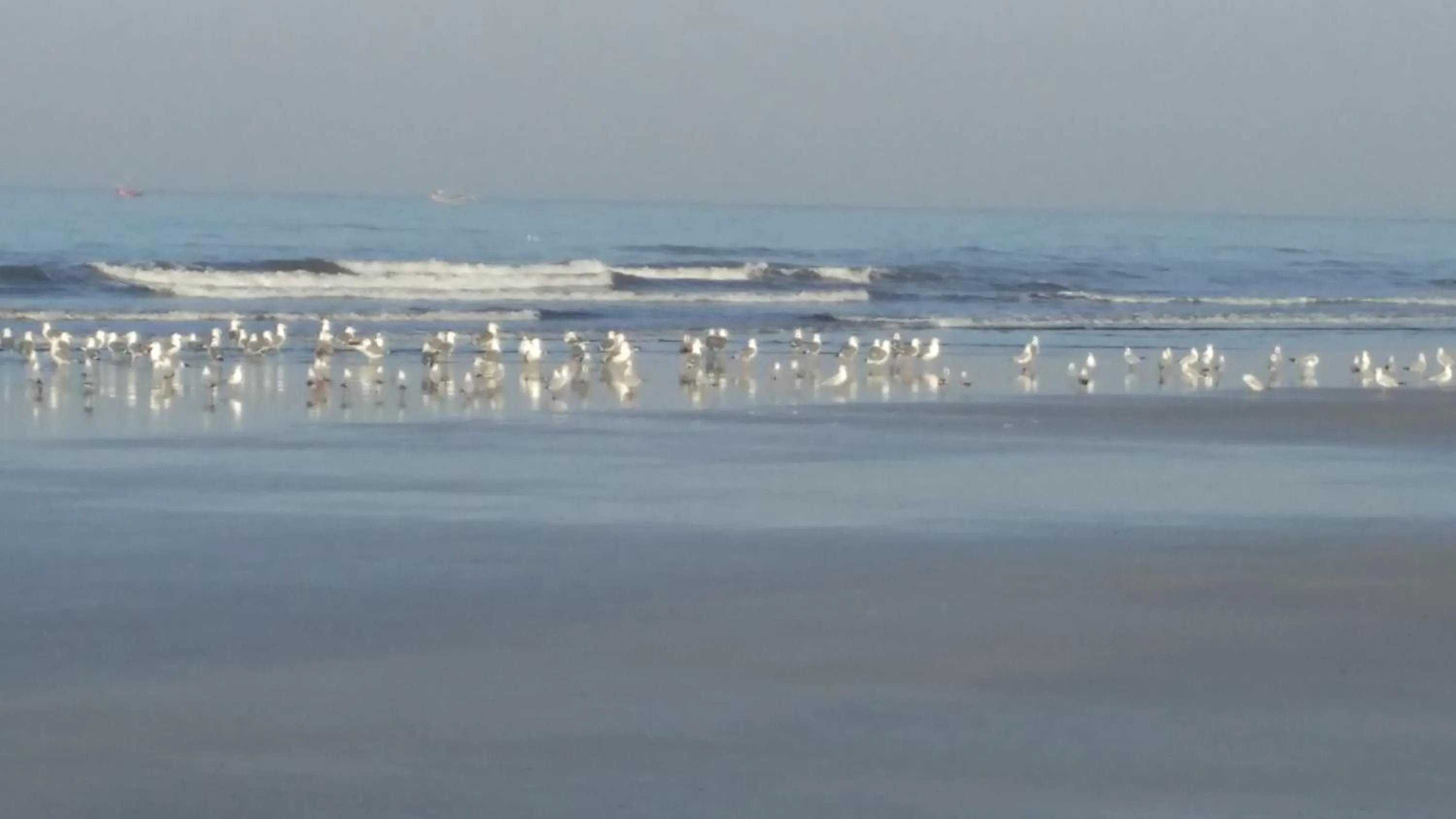 Beach in Whistling Waves Beach Resort