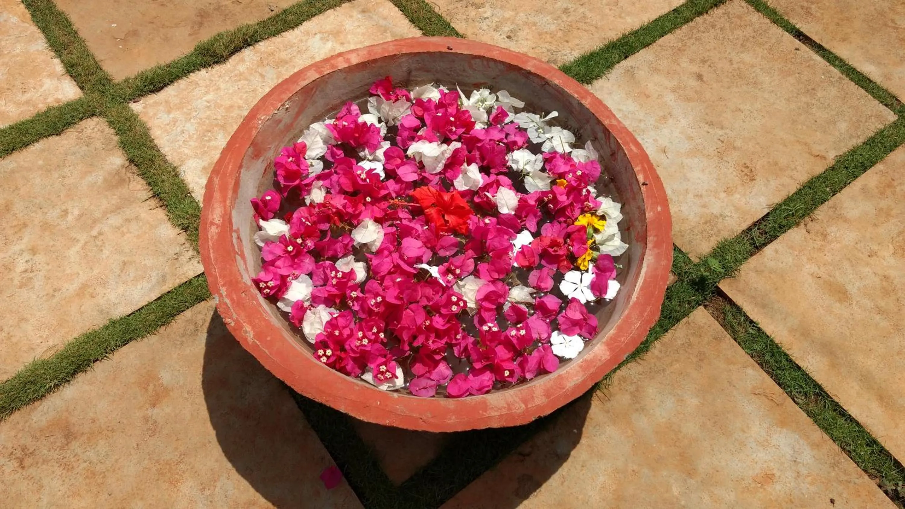 Decorative detail in Whistling Waves Beach Resort
