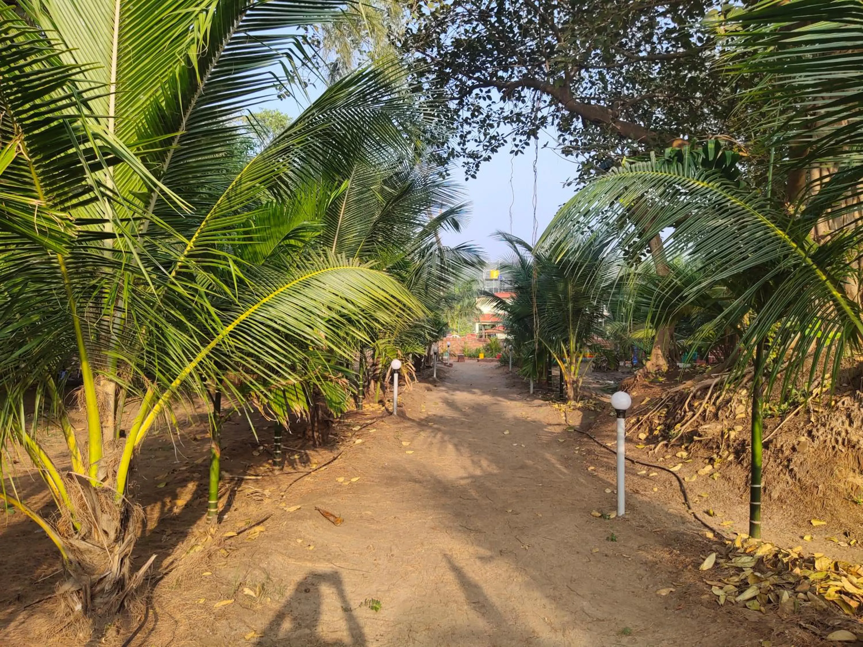 Garden in Whistling Waves Beach Resort
