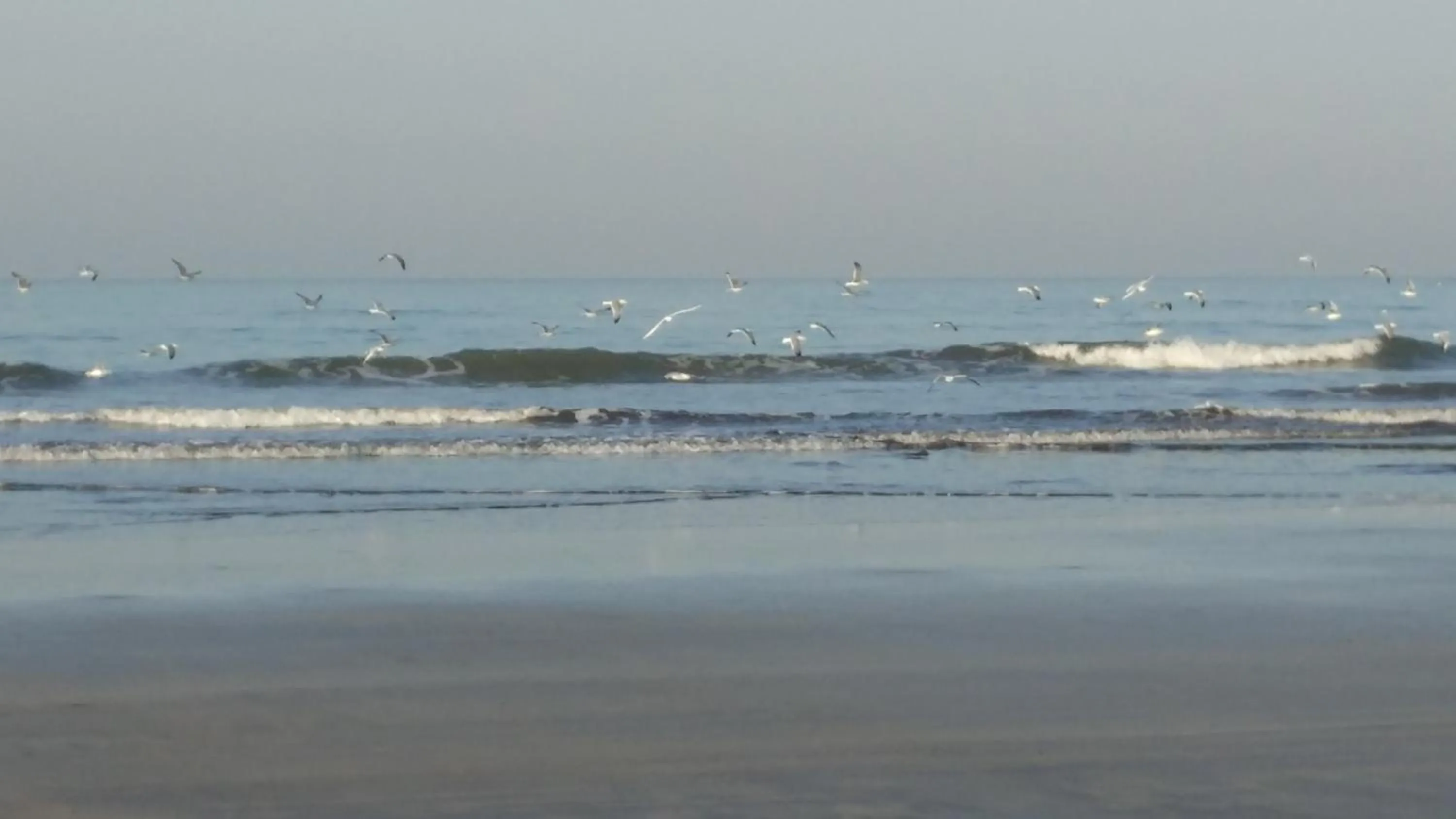 Sea view in Whistling Waves Beach Resort