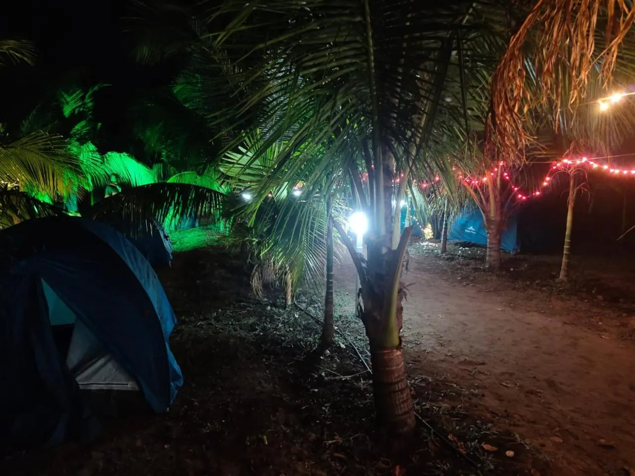 Entertainment in Whistling Waves Beach Resort