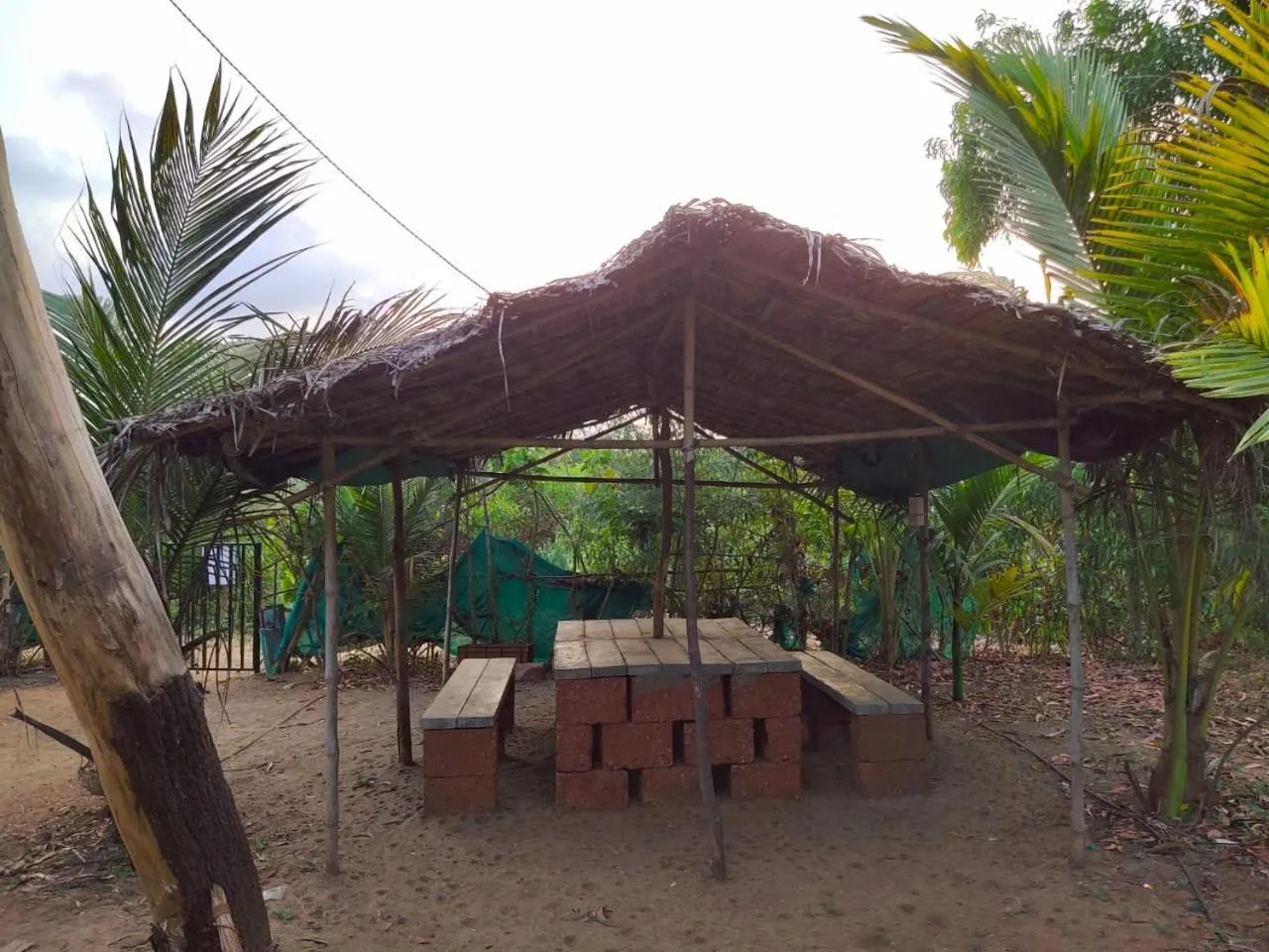 Sea view in Whistling Waves Beach Resort