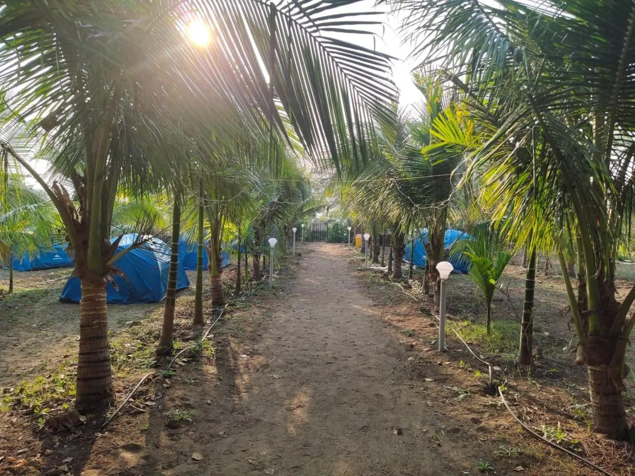 Entertainment in Whistling Waves Beach Resort