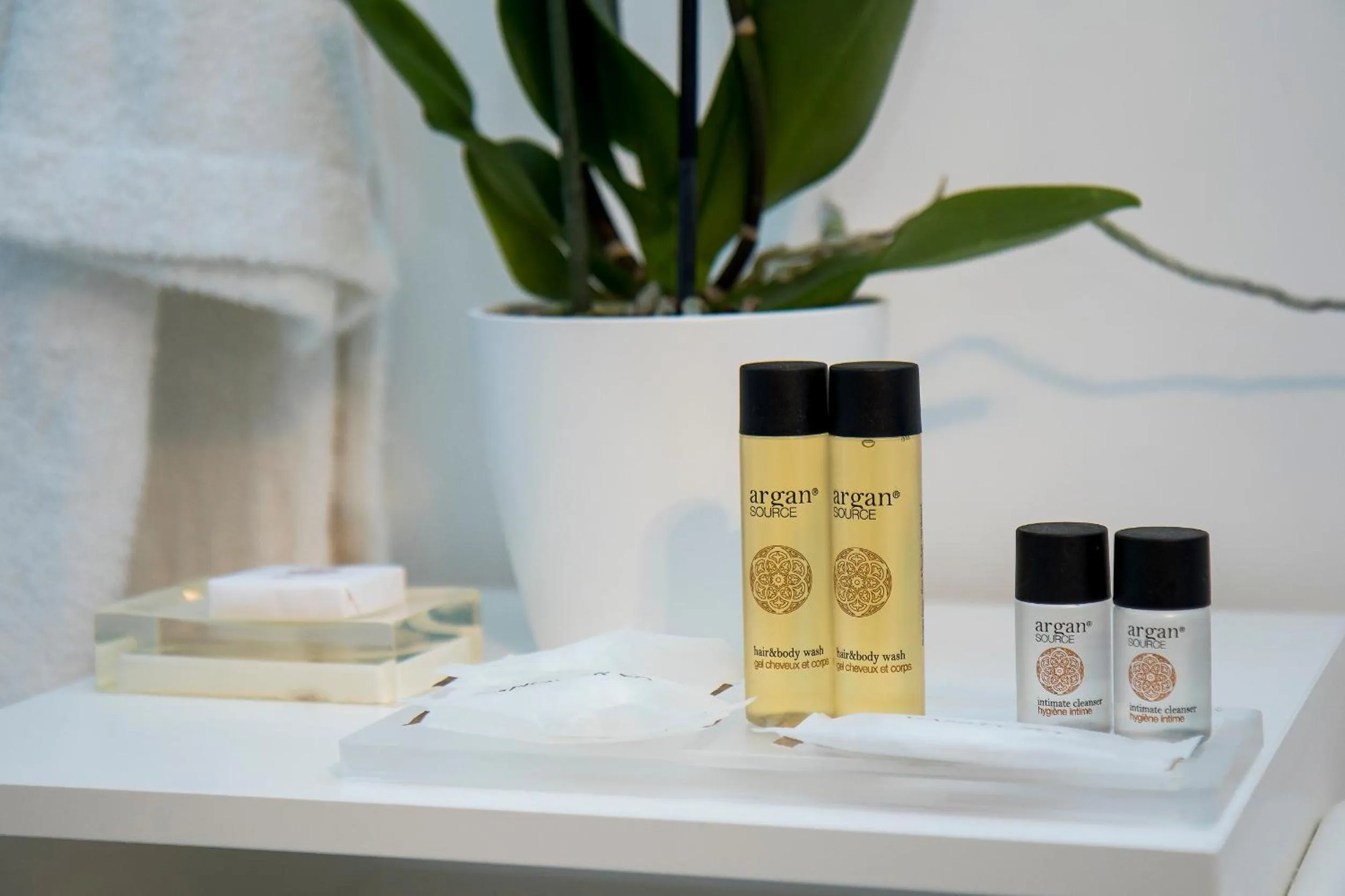 children in Palazzo Murrano - Adults Only