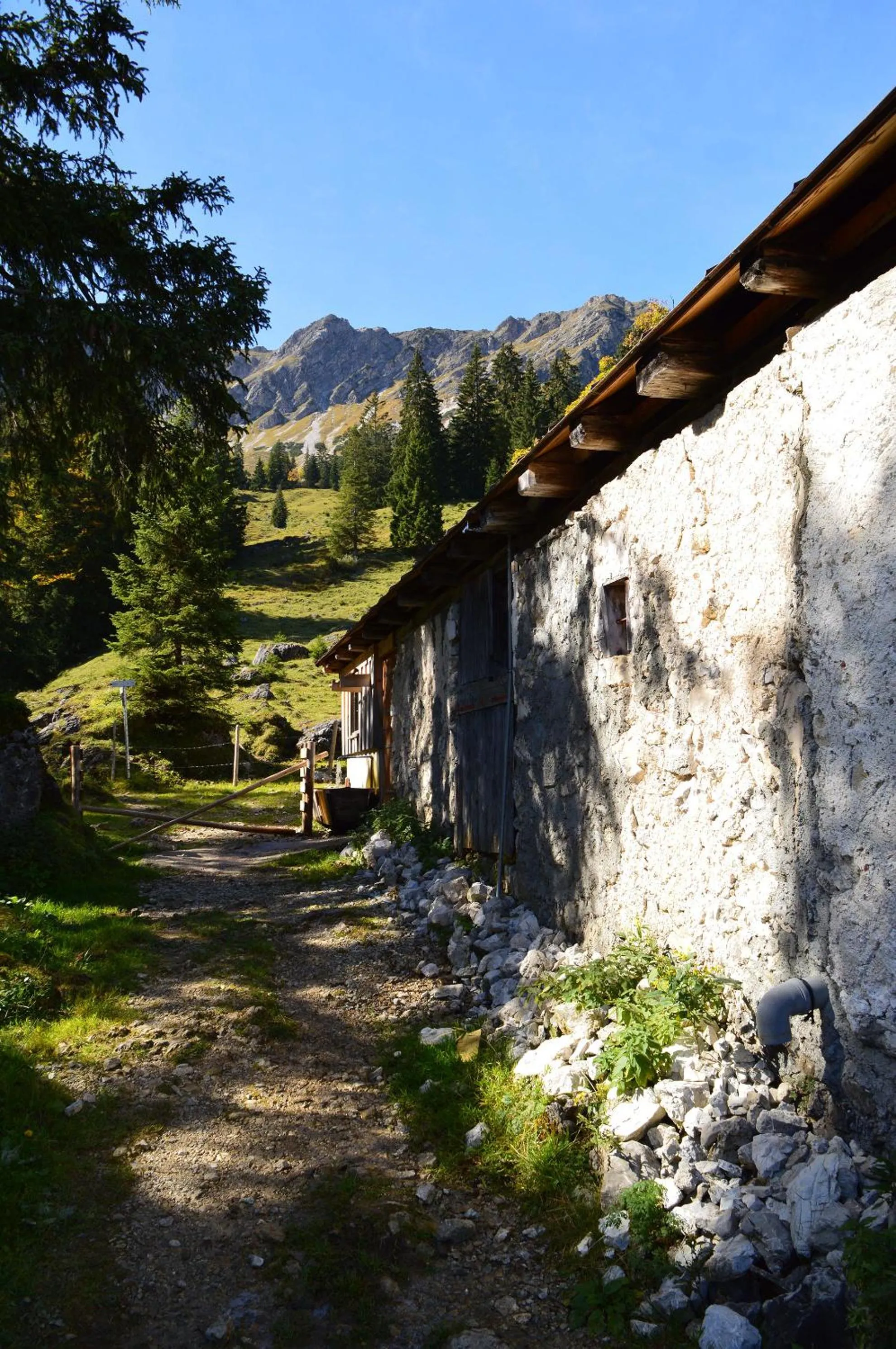 Hiking in Grüner Hut - DEIN BERGHOTEL
