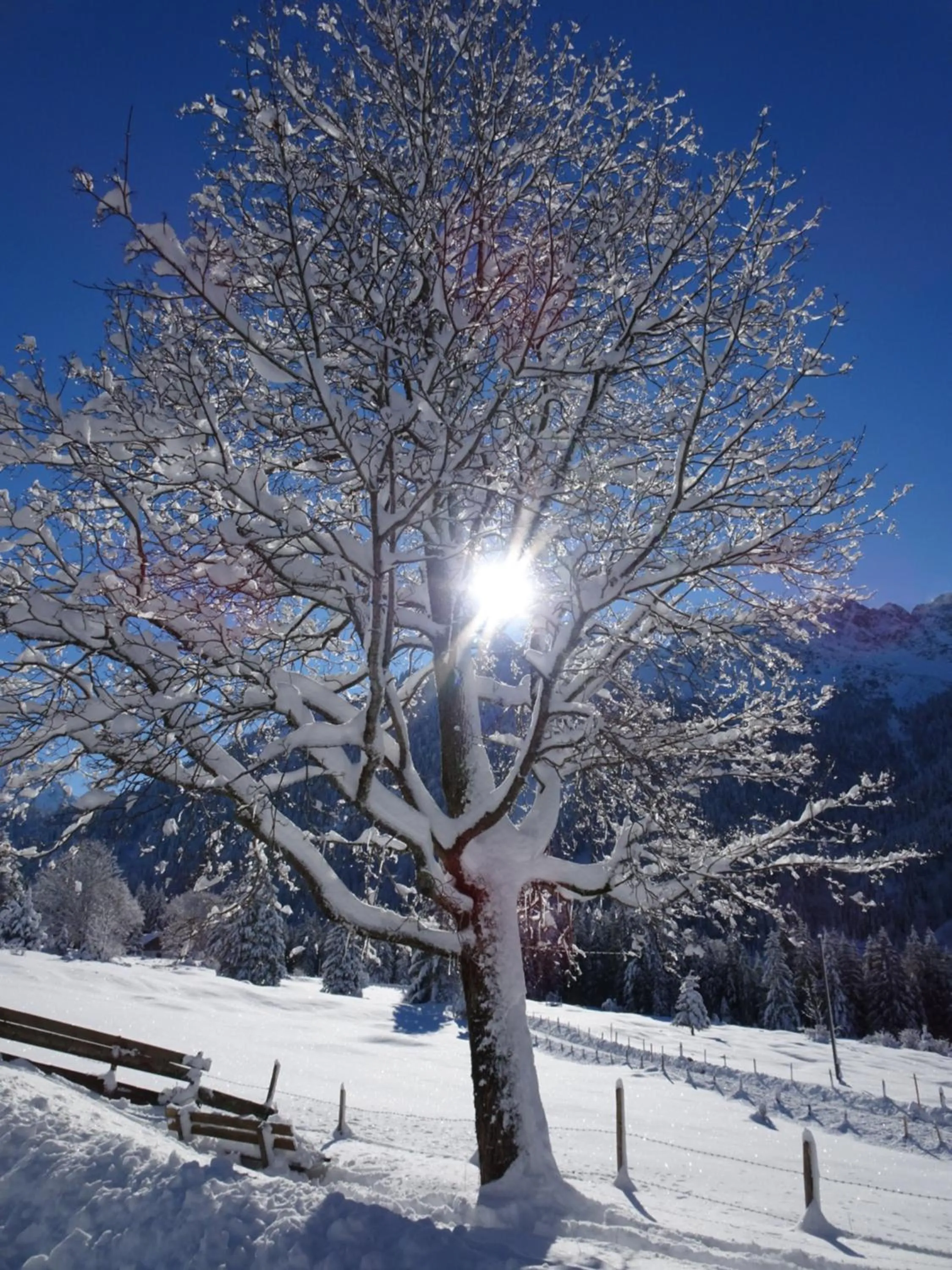 Mountain view in Grüner Hut - DEIN BERGHOTEL