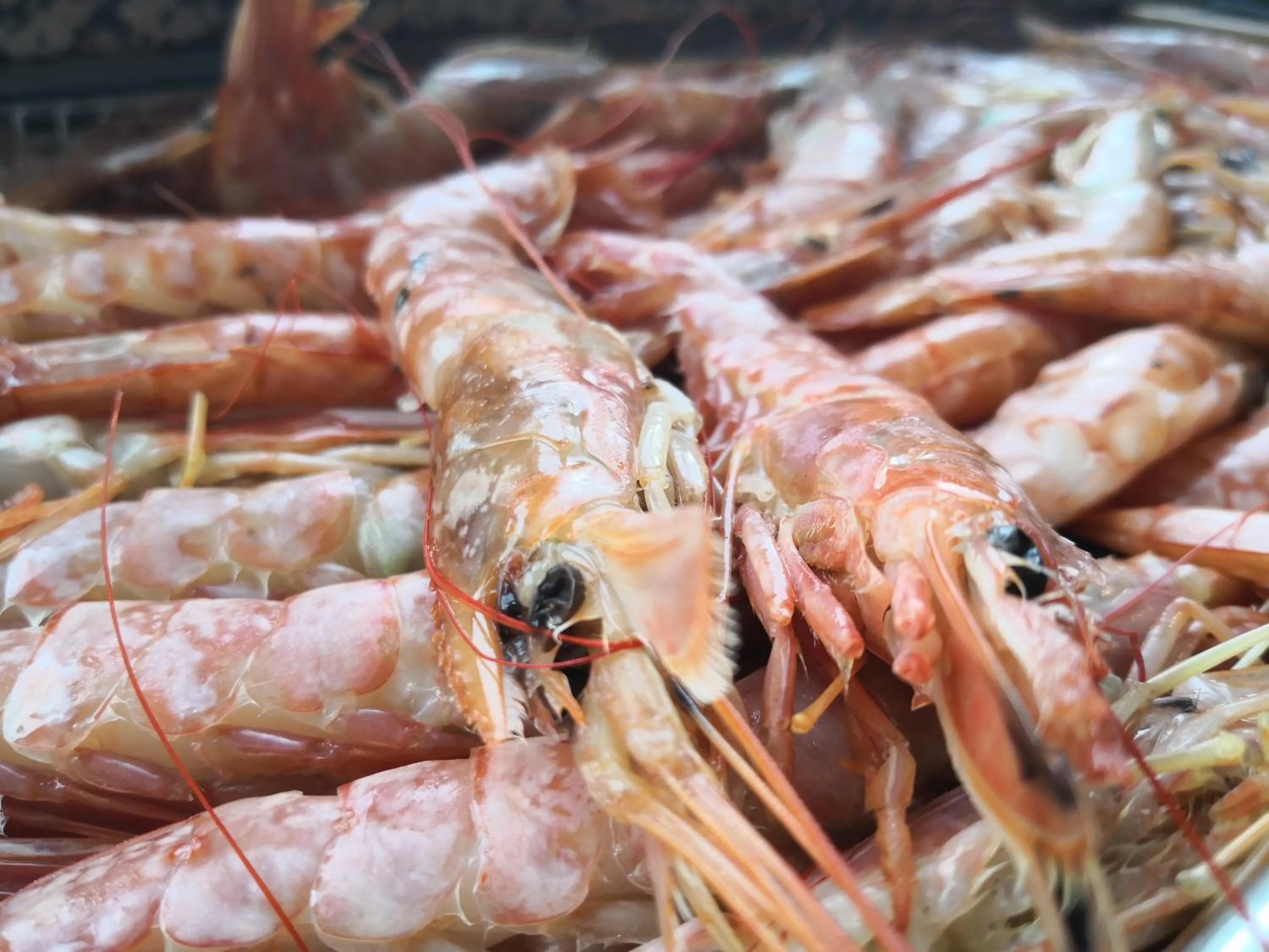 Restaurant/places to eat in Millaenya Inn