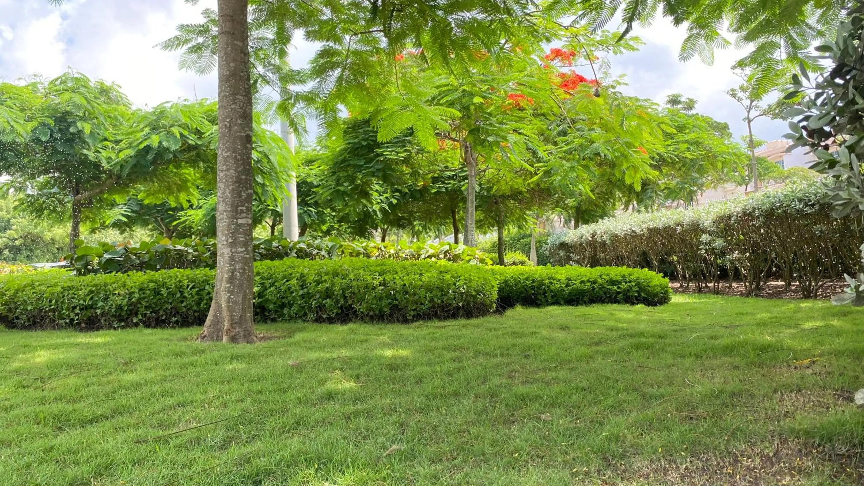 Garden in Holiday Inn Express - Barranquilla Buenavista by IHG