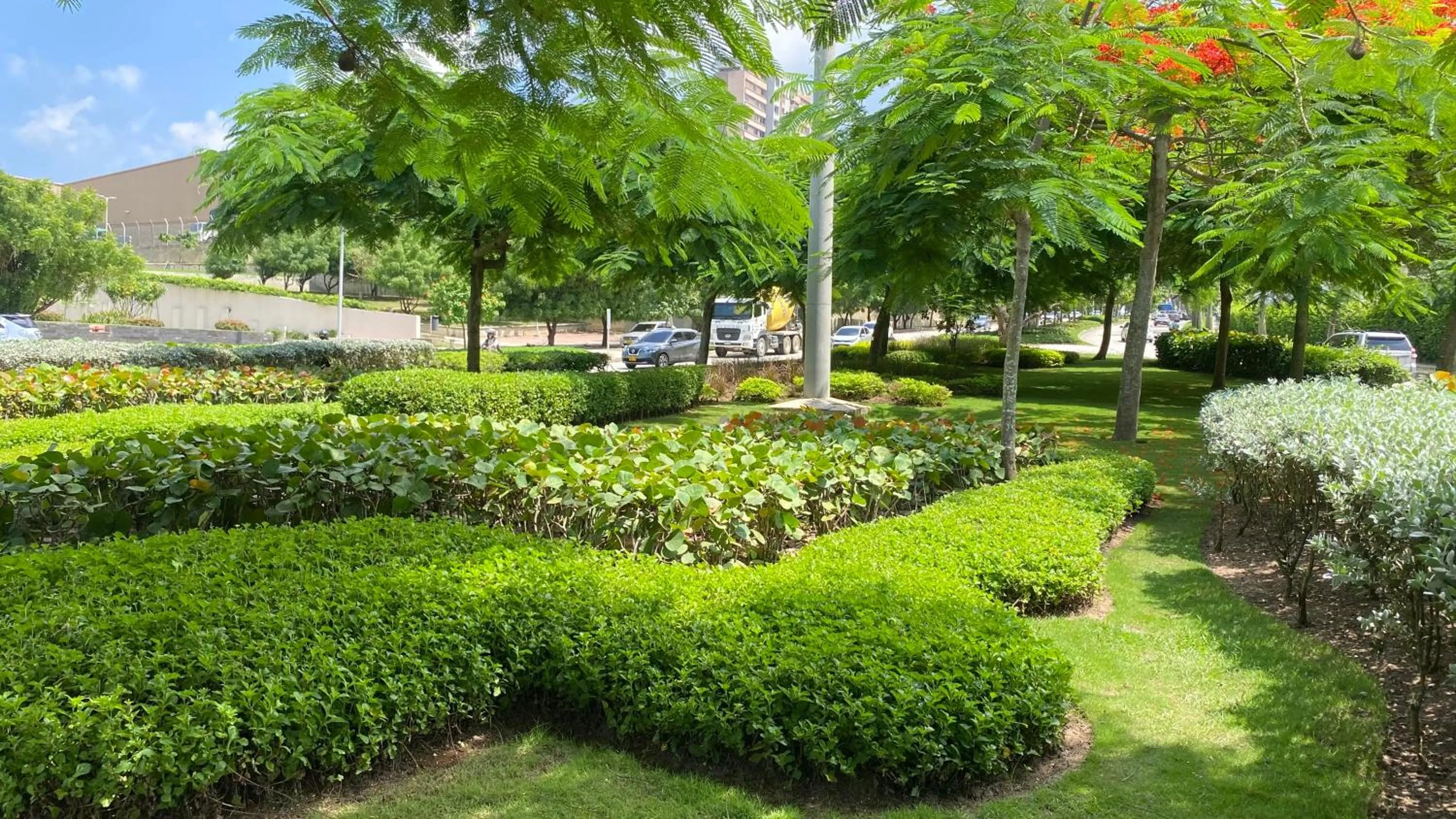Garden in Holiday Inn Express - Barranquilla Buenavista by IHG
