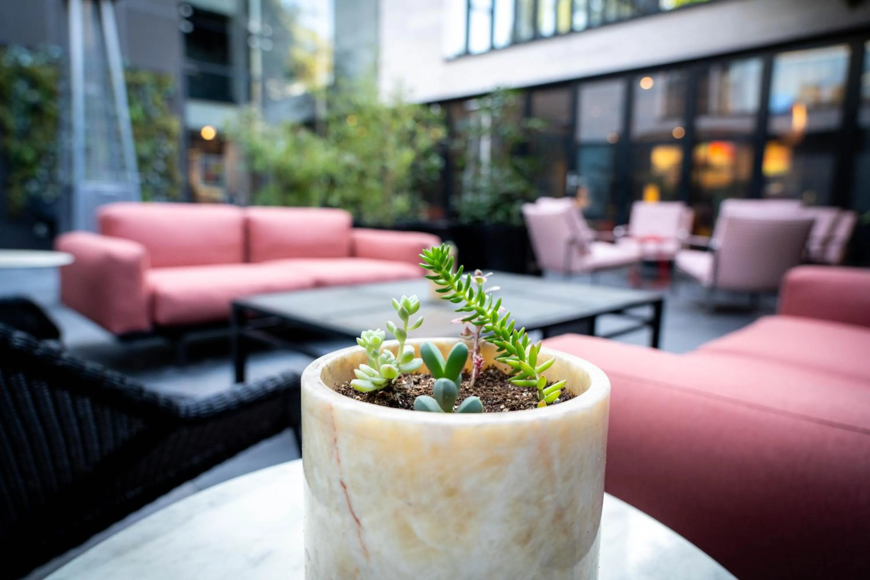 Patio in Ladera Boutique Hotel